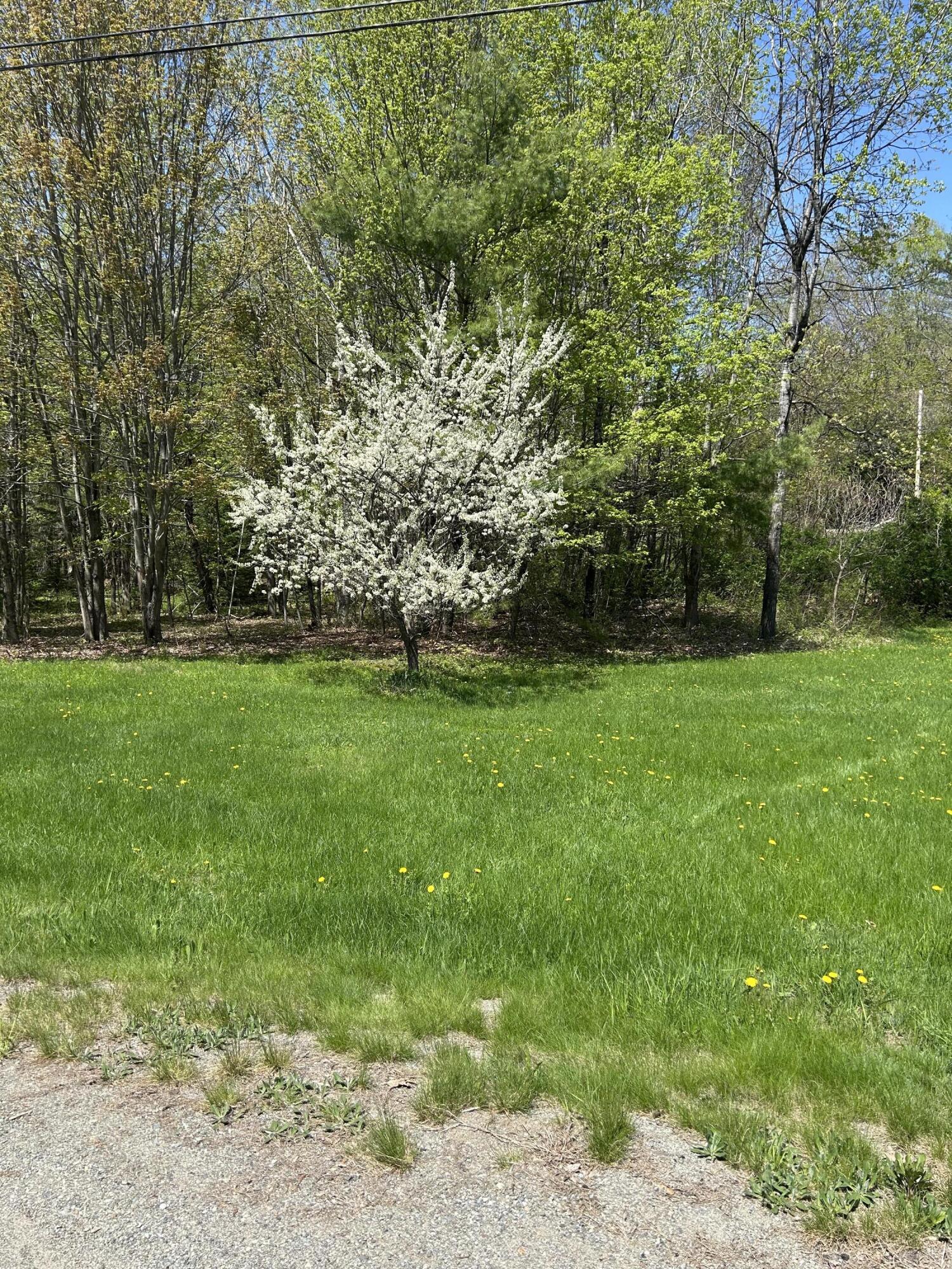 M19 L6-6 Tuell Hill Road, Sumner, ME, 04292