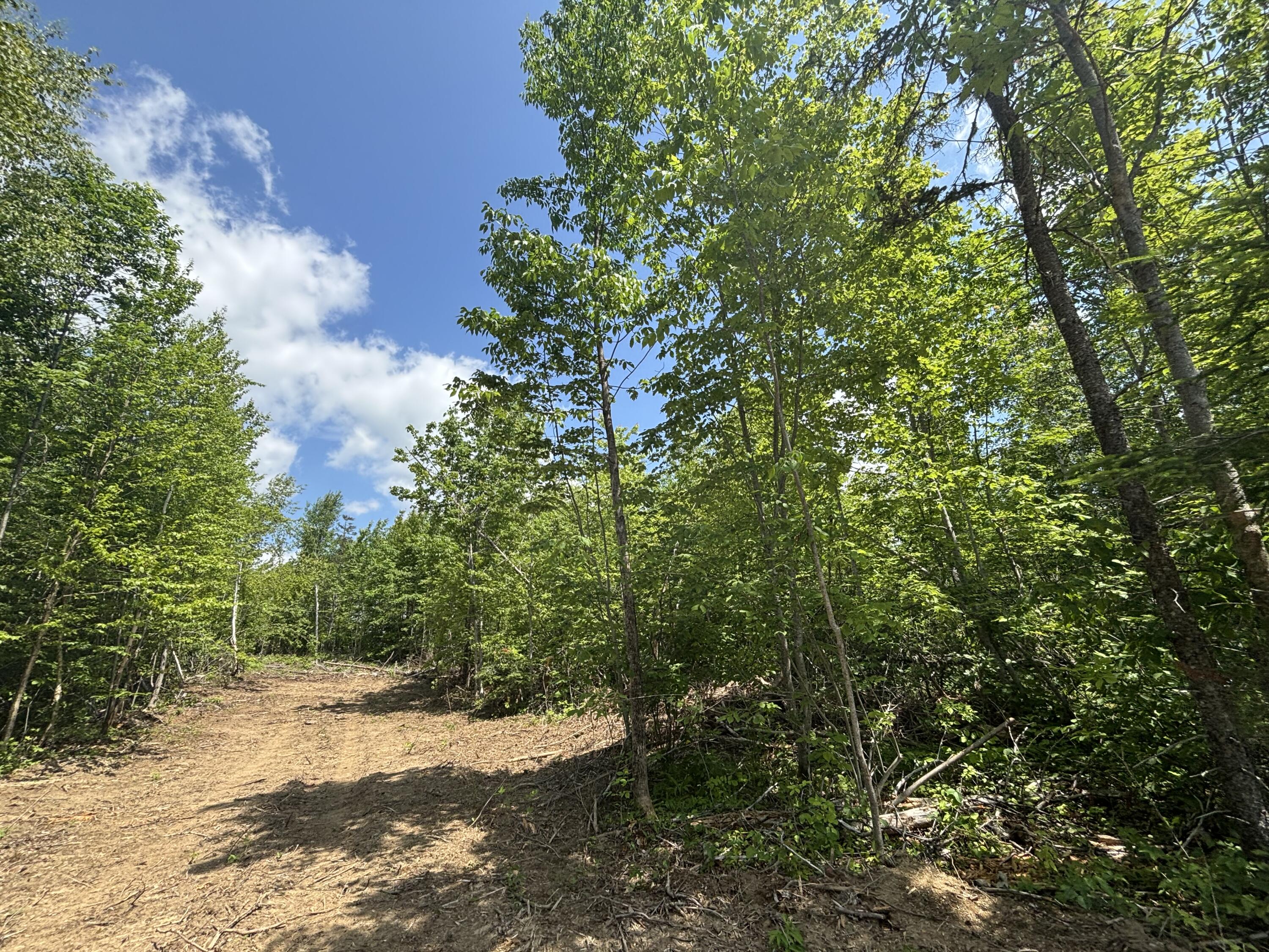 Lot A McDonald Road, Littleton, ME, 04730