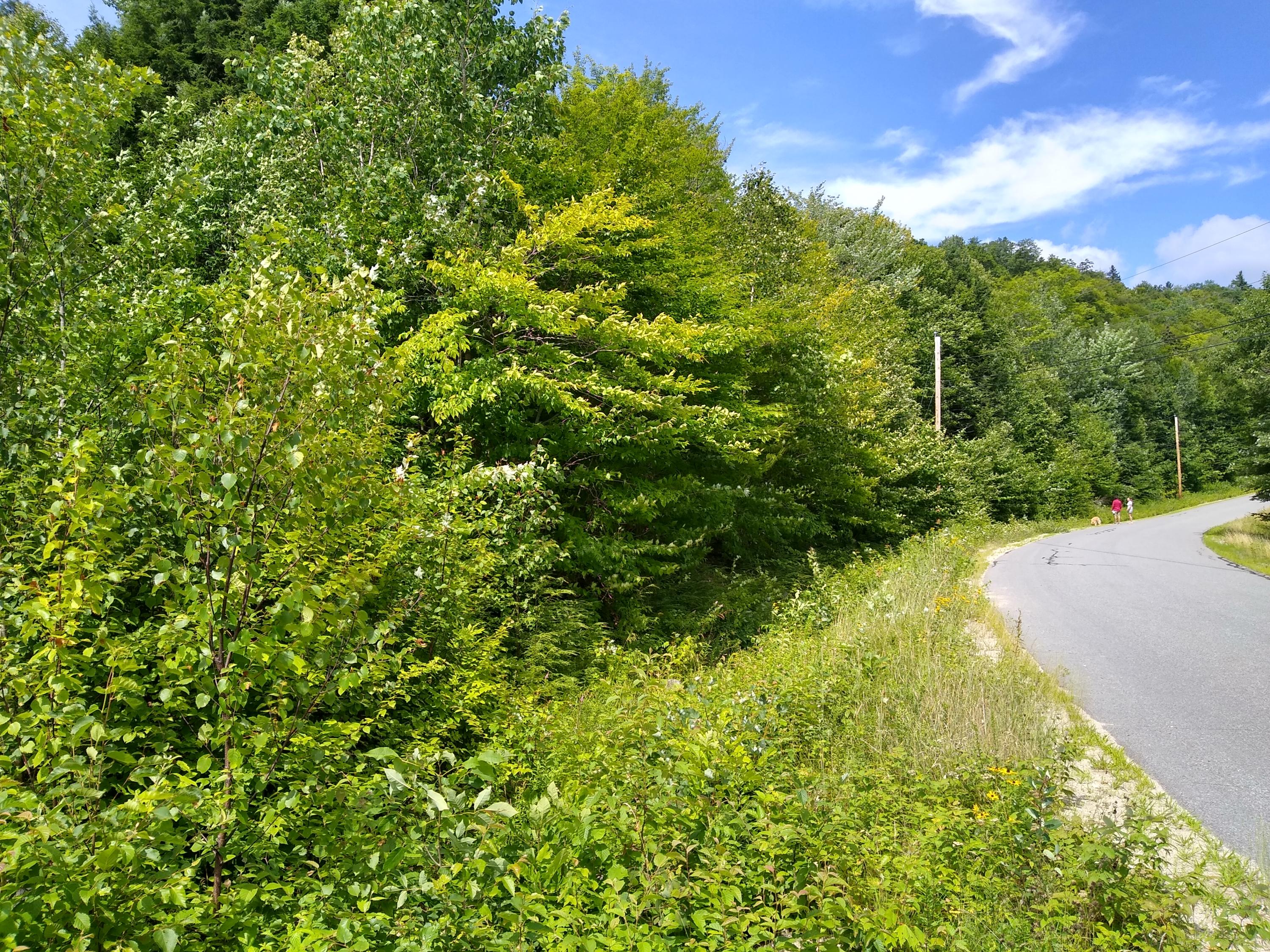 Lot 16 Keystone Drive, Newry, ME, 04261