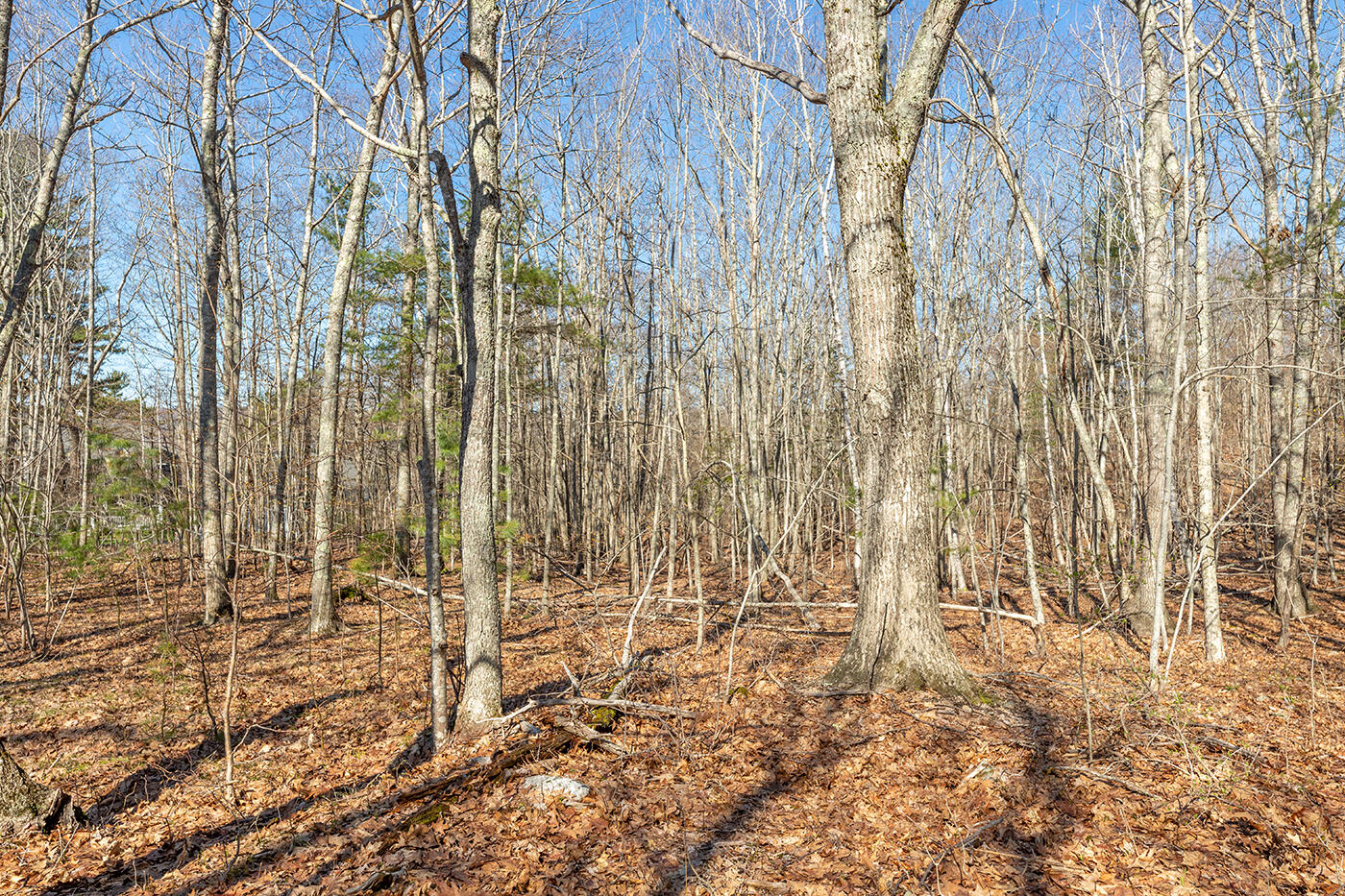 Lot 1 Bristol Drive, Rockport, ME, 04856