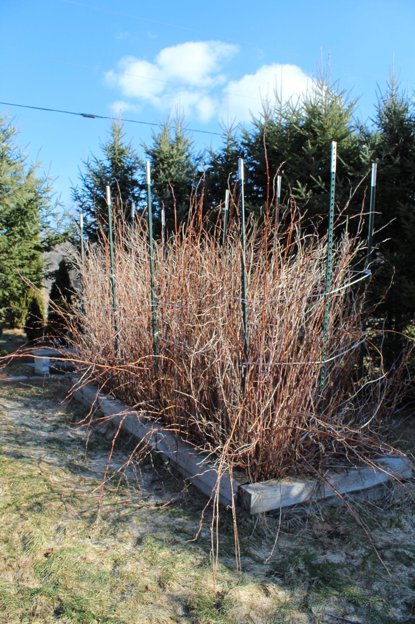 759 Brooks Road, Knox, ME, 04986