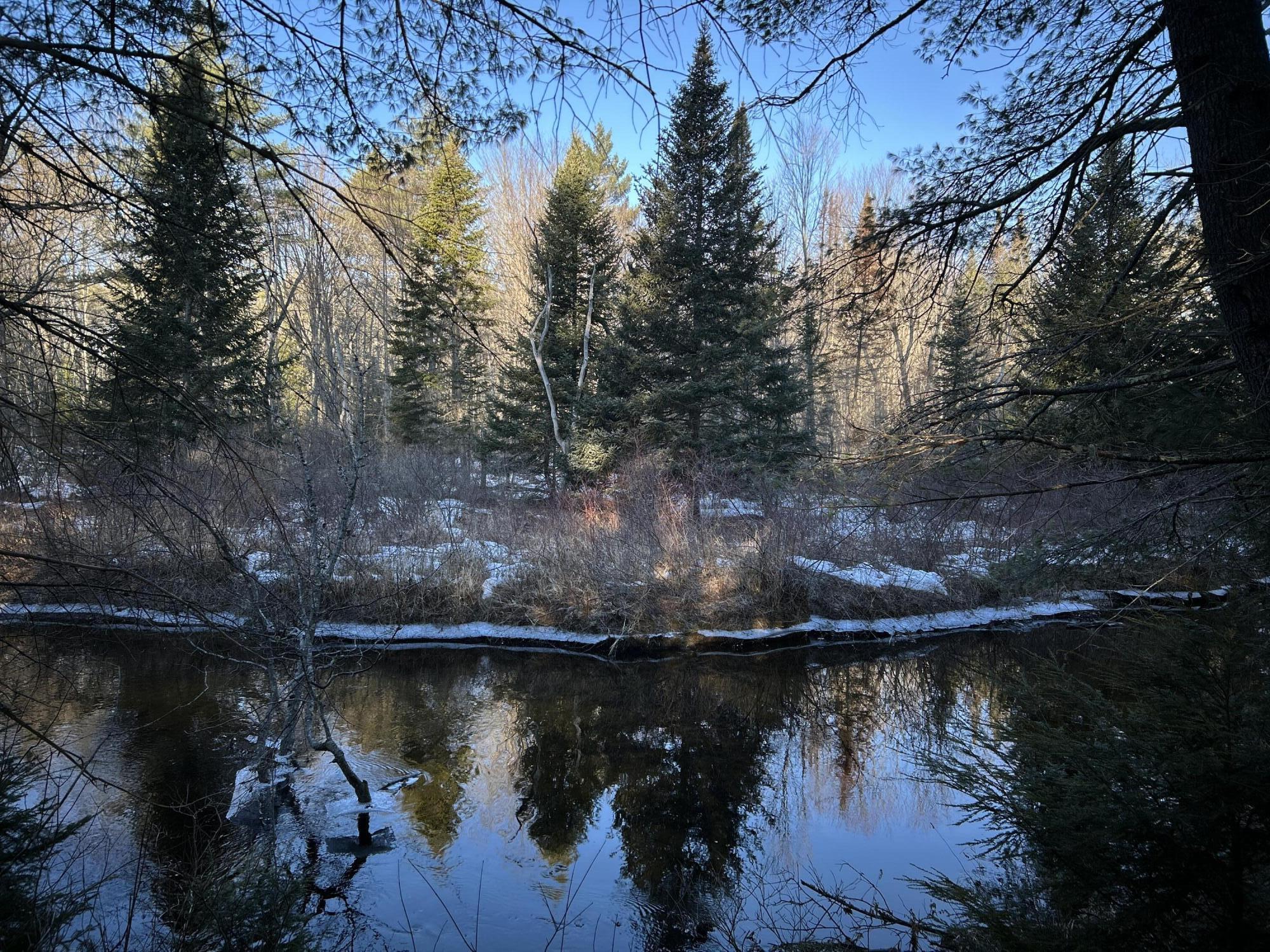 Map13Lot11 Field View Road, Fryeburg, ME, 04037