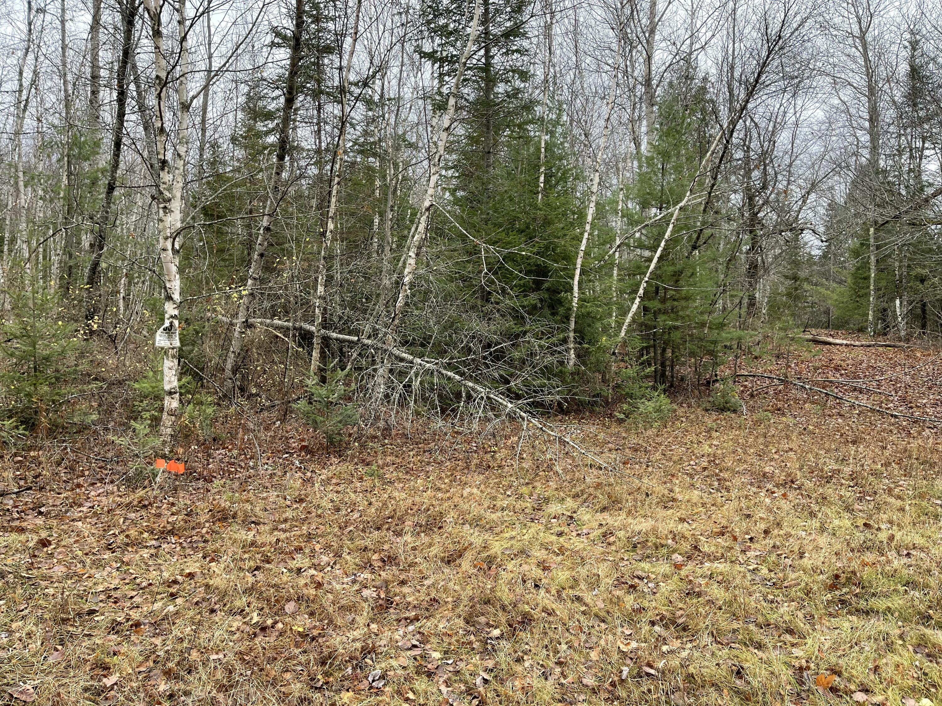 194 E Gulch Road, Thorndike, ME, 04986