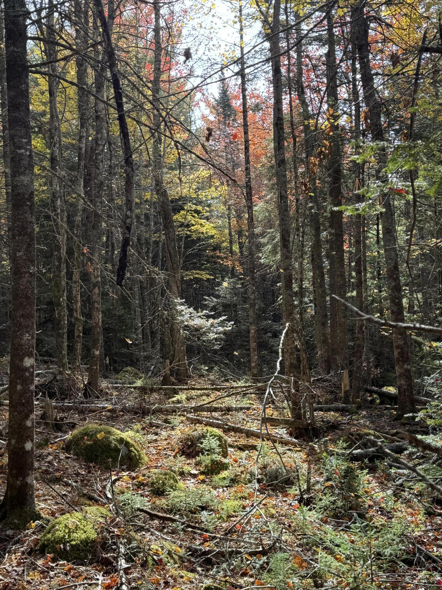 020-078 Blue Hill, Blue Hill, ME, 04614