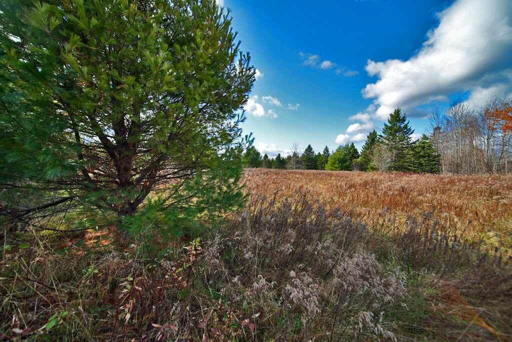 Lot 18 US RT 2 Highway, Sherman, ME, 04776