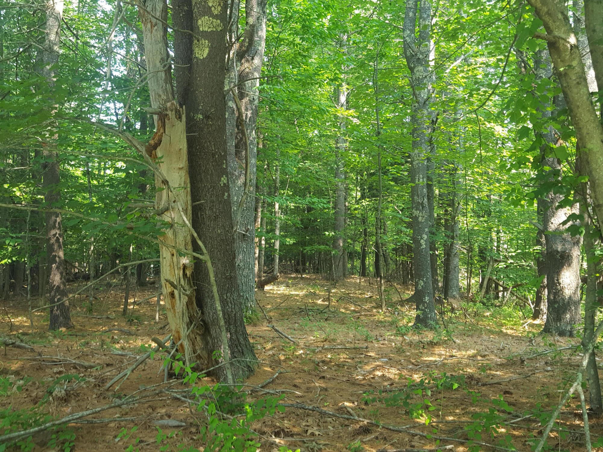 594 River Road Road, Windham, ME, 04062