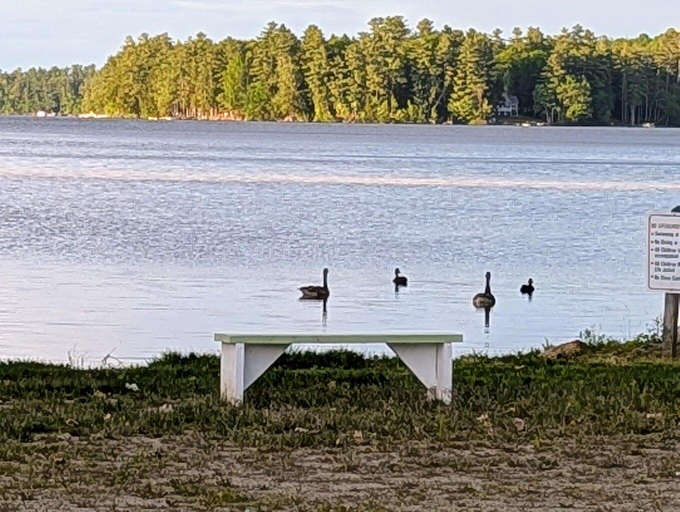 19 & 28 Lintonia Drive UNIT 10-13, Litchfield, ME, 04350