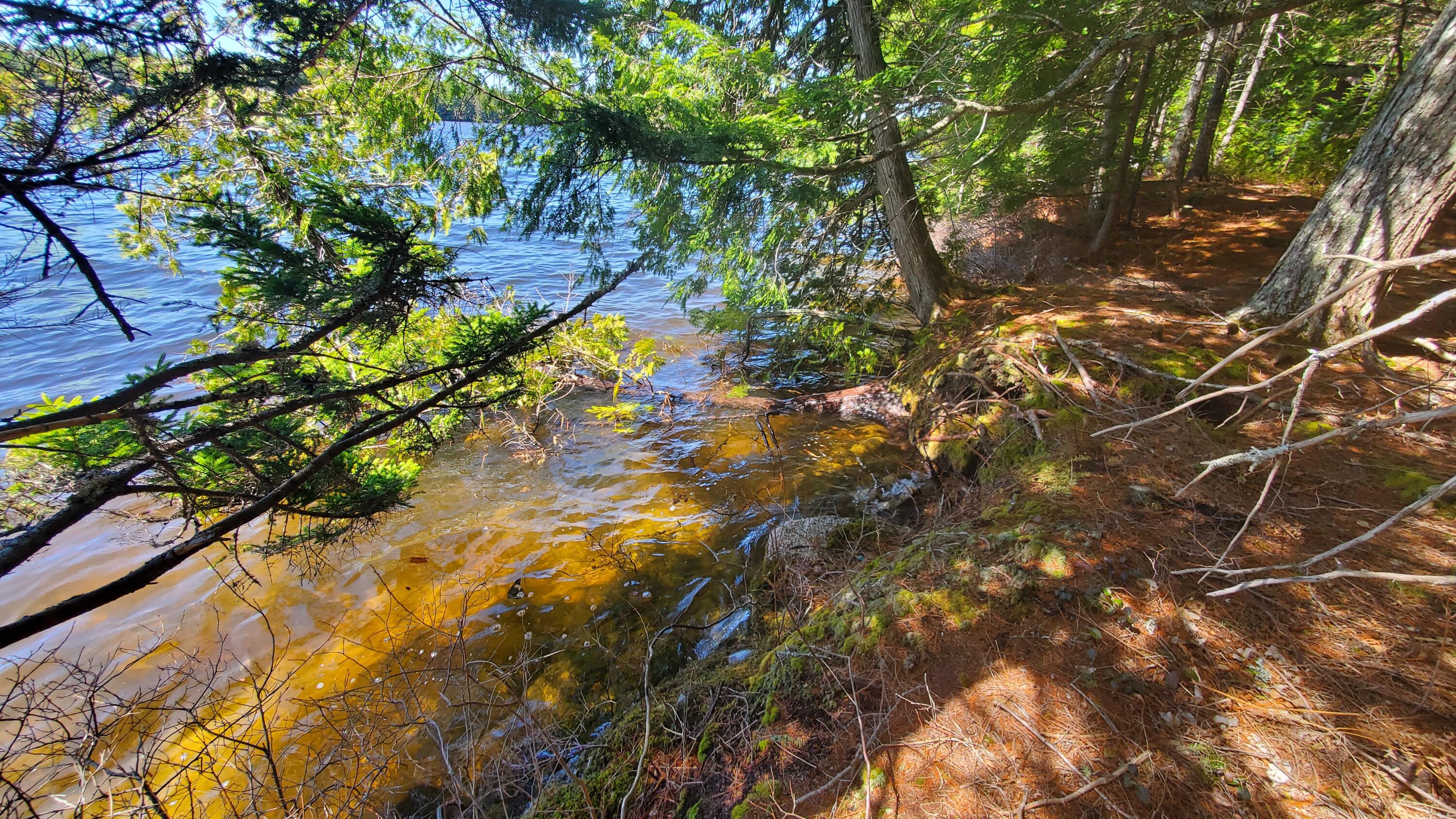 307 Lakeville Shores Road, Lakeville, ME, 04487