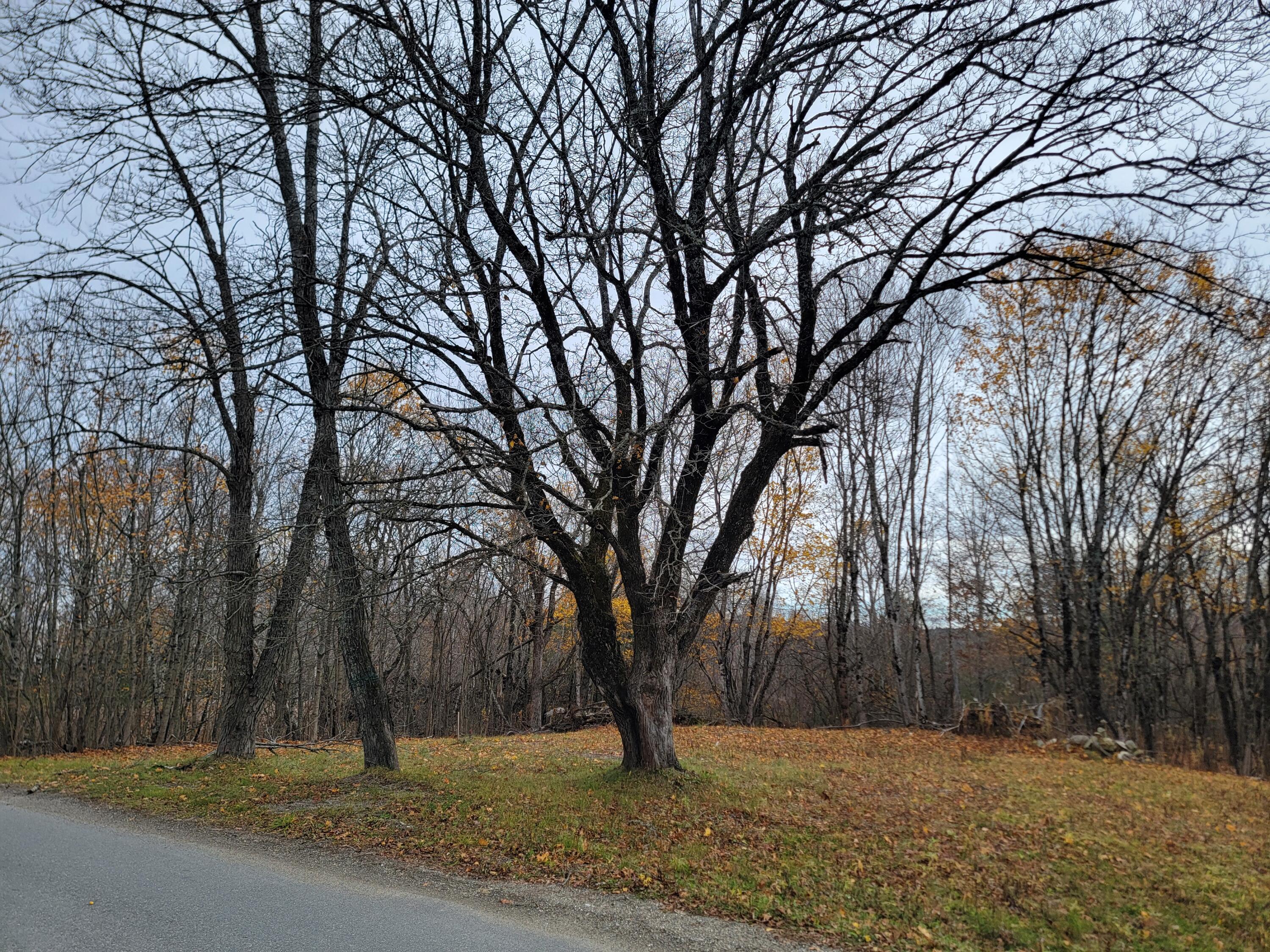 362 Main Street, Baileyville, ME, 04694