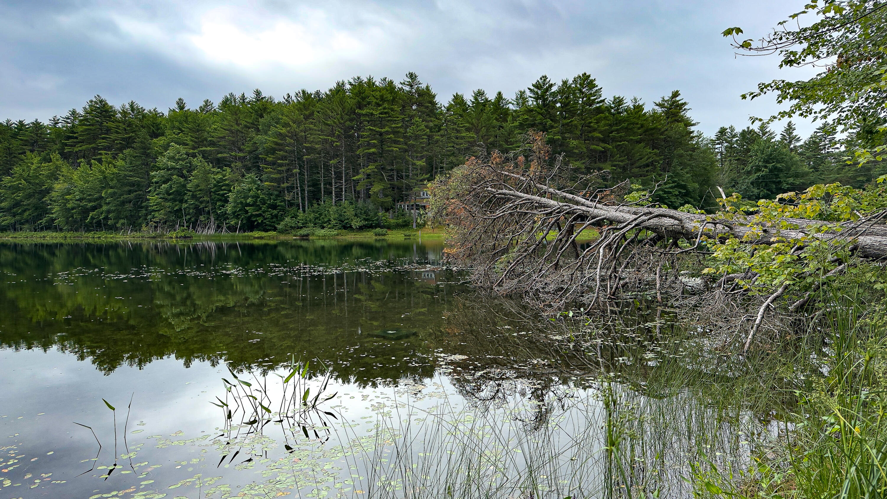 62-B Long Pond Drive, Denmark, ME, 04022