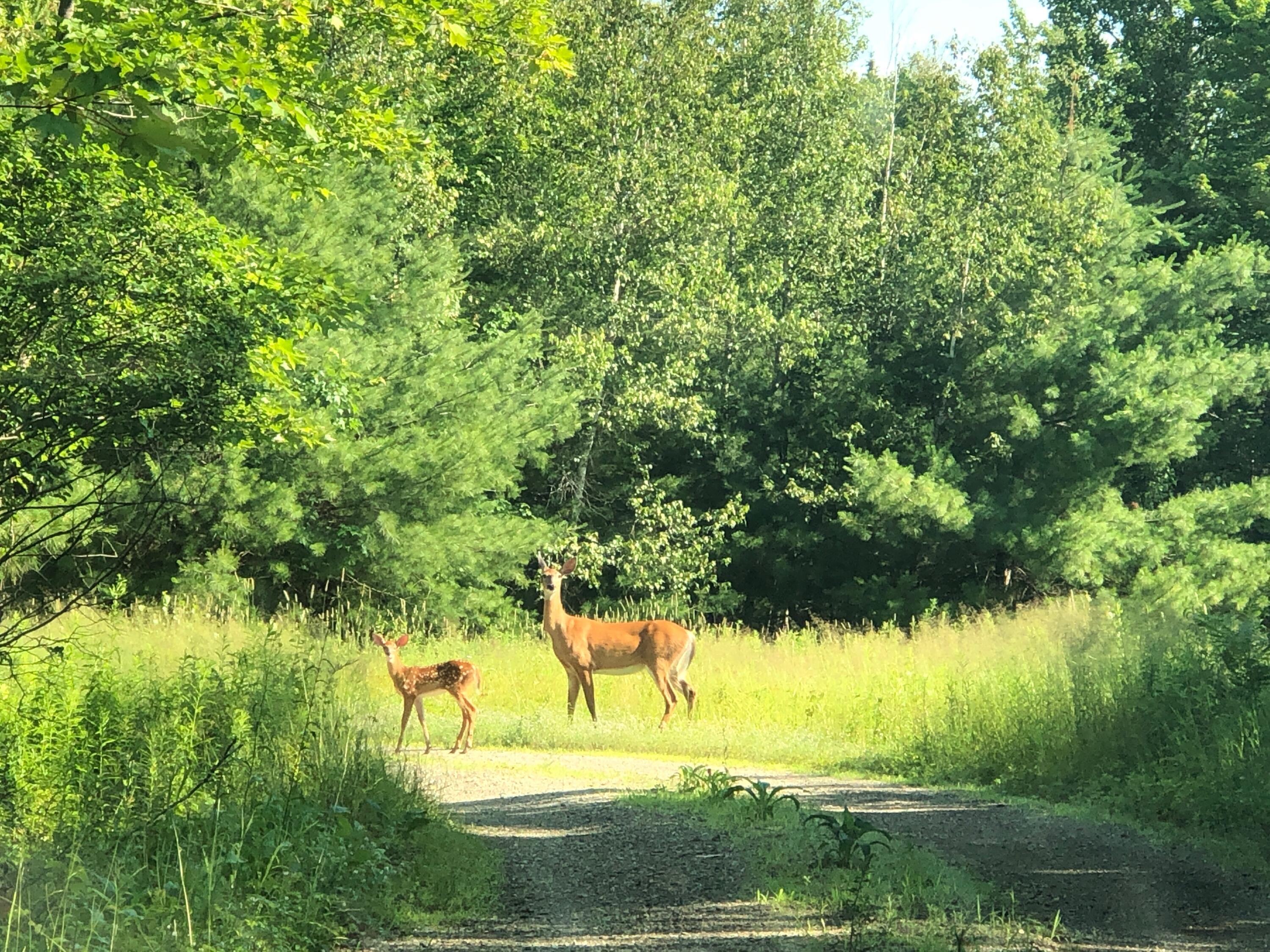 196 Woodmans Mill Road, Searsmont, ME, 04973