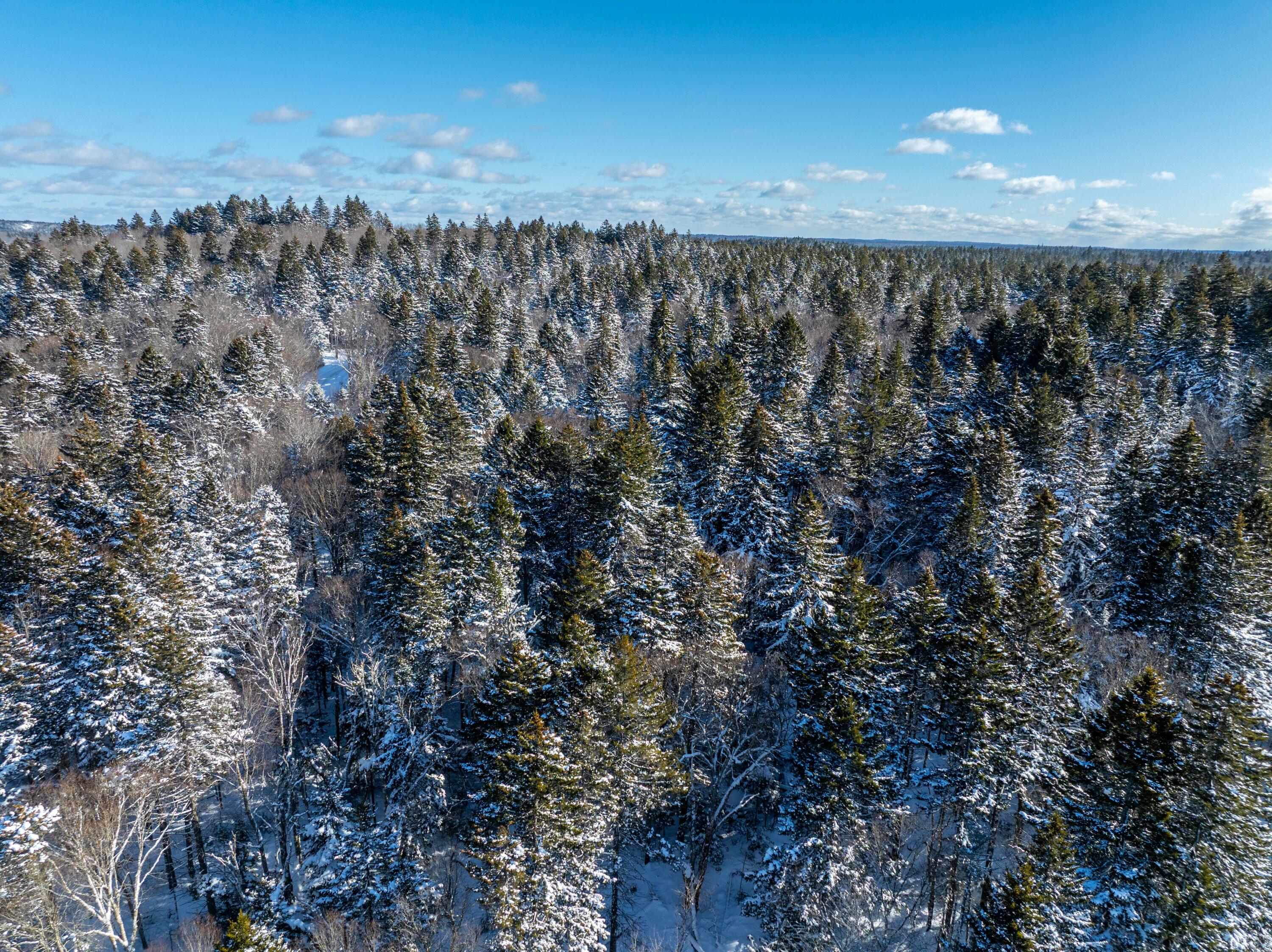 Undisclosed Address, Whiting, ME, 04691