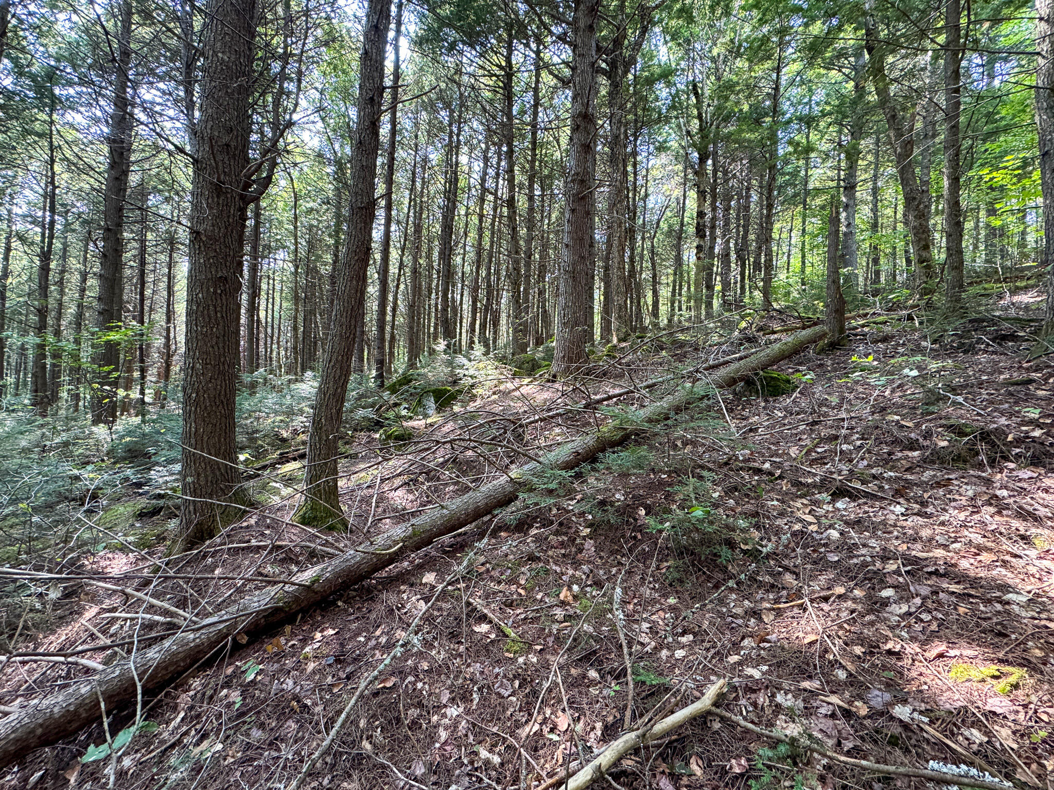 P/O M29L23 Bluff Road, Enfield, ME, 04493