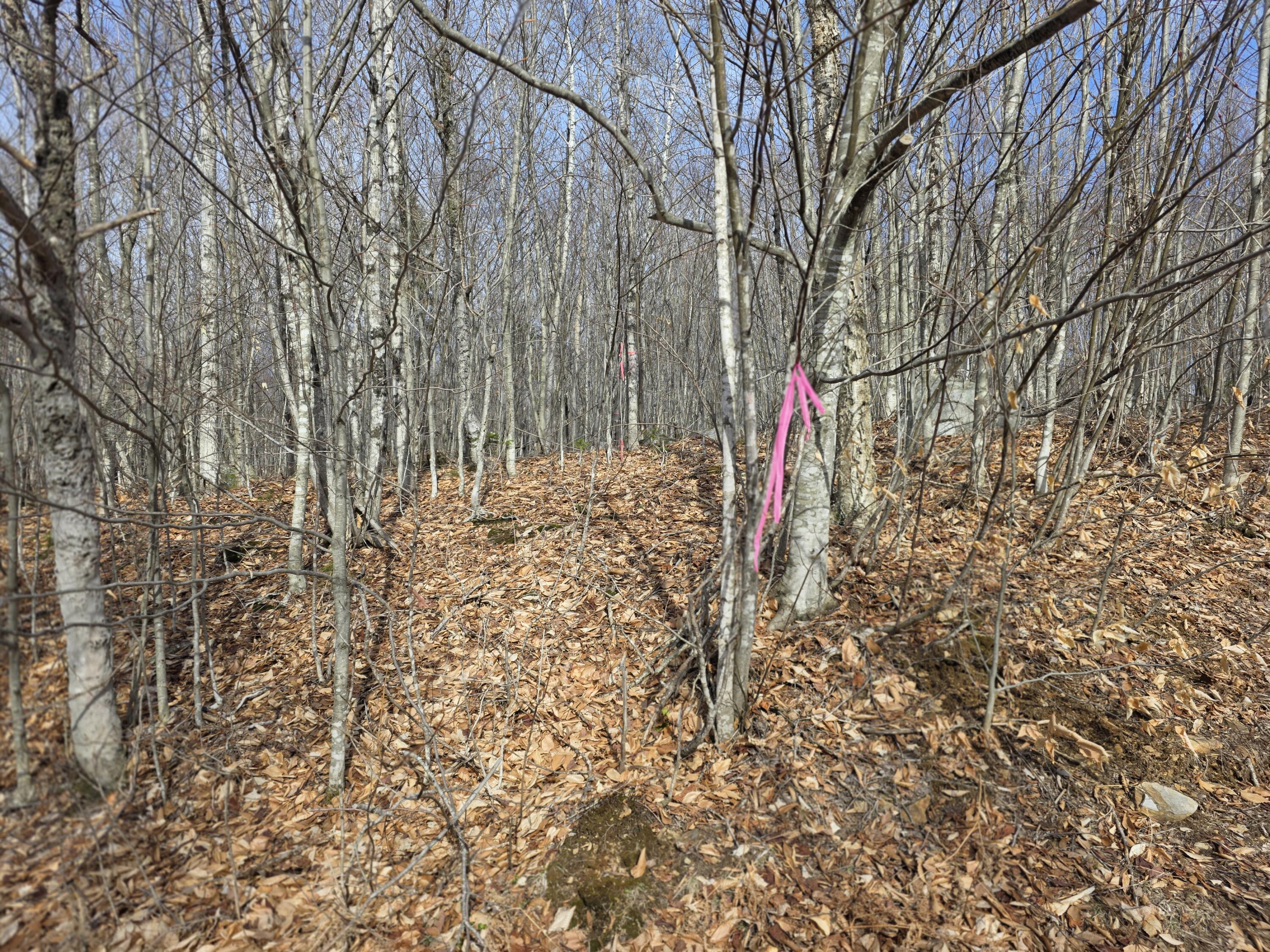 L 10 Moose Ridge Road, Oakfield, ME, 04763