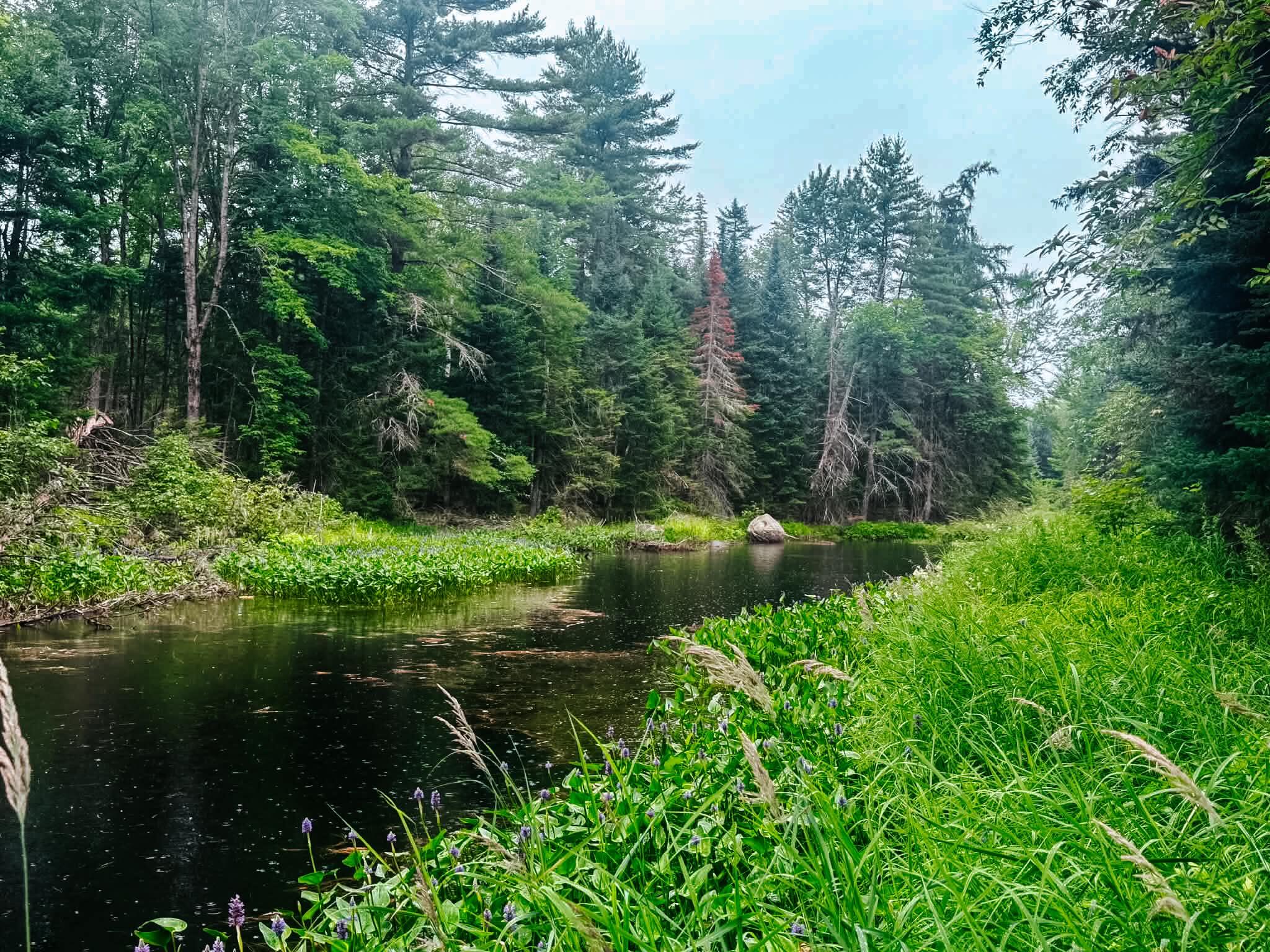 Photo of 2539 Edinburg Road Argyle Twp ME 04468