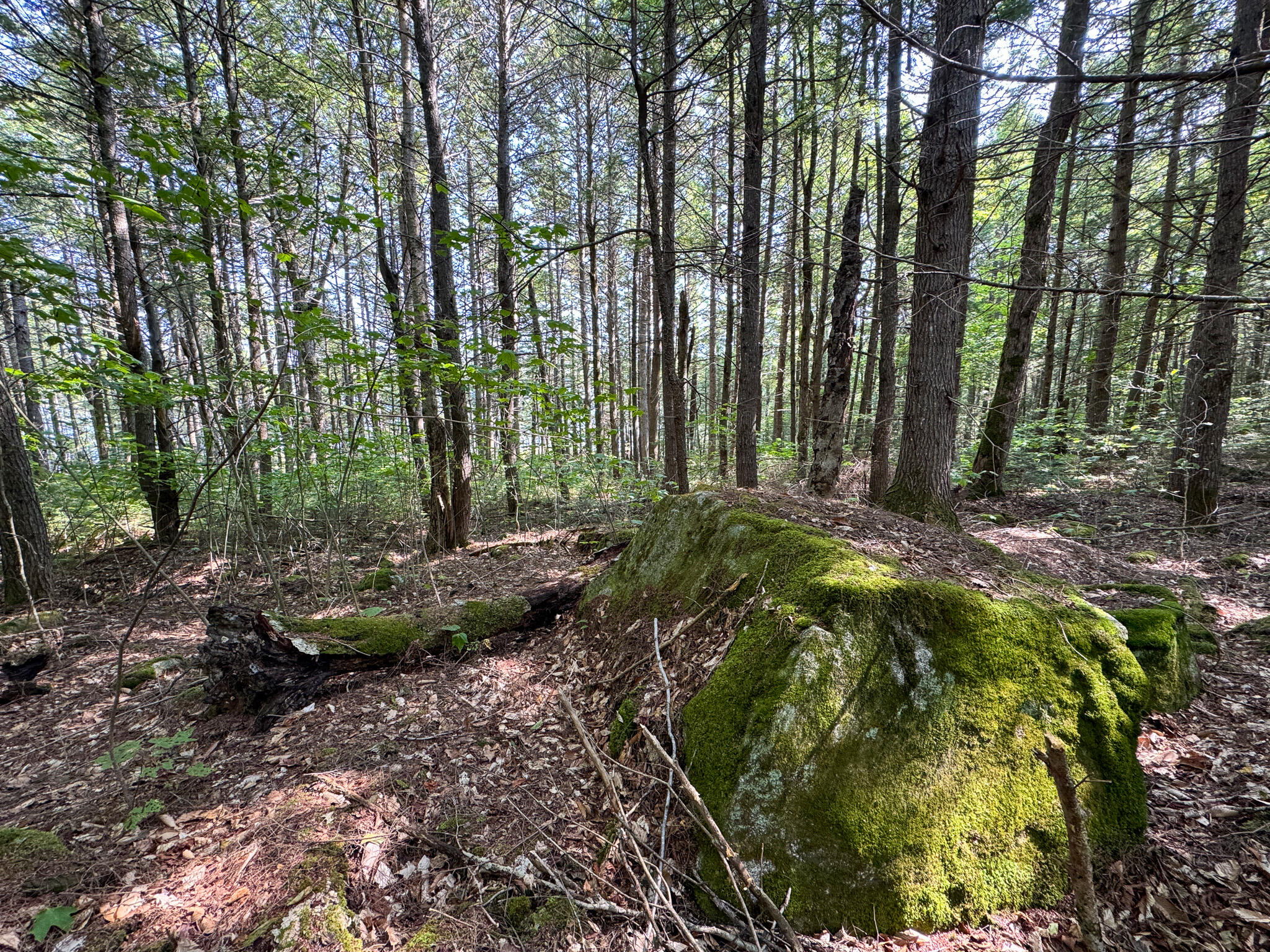 P/O M29L23 Bluff Road, Enfield, ME, 04493