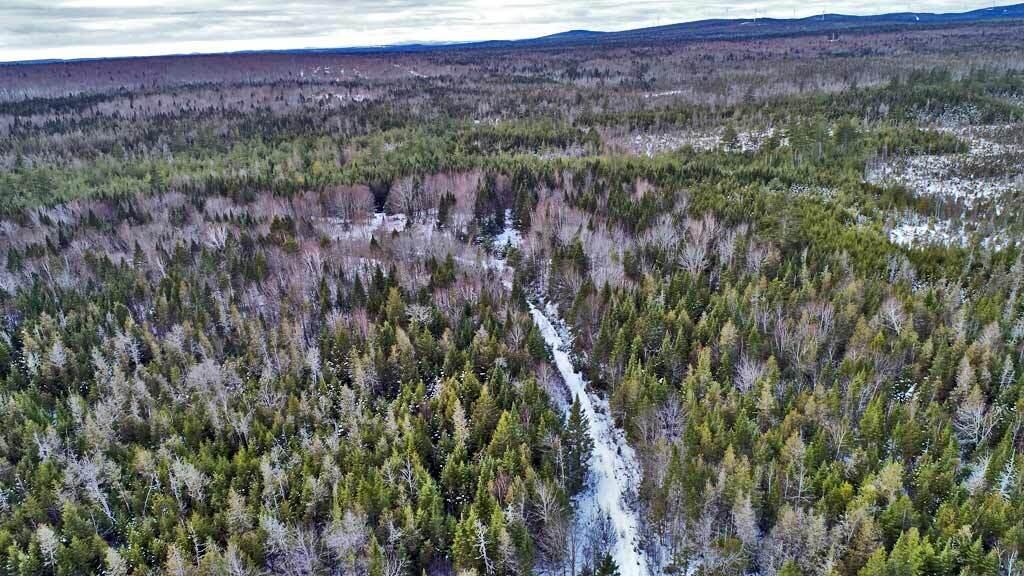 Lot 57 Fire Road, Linneus, ME, 04730