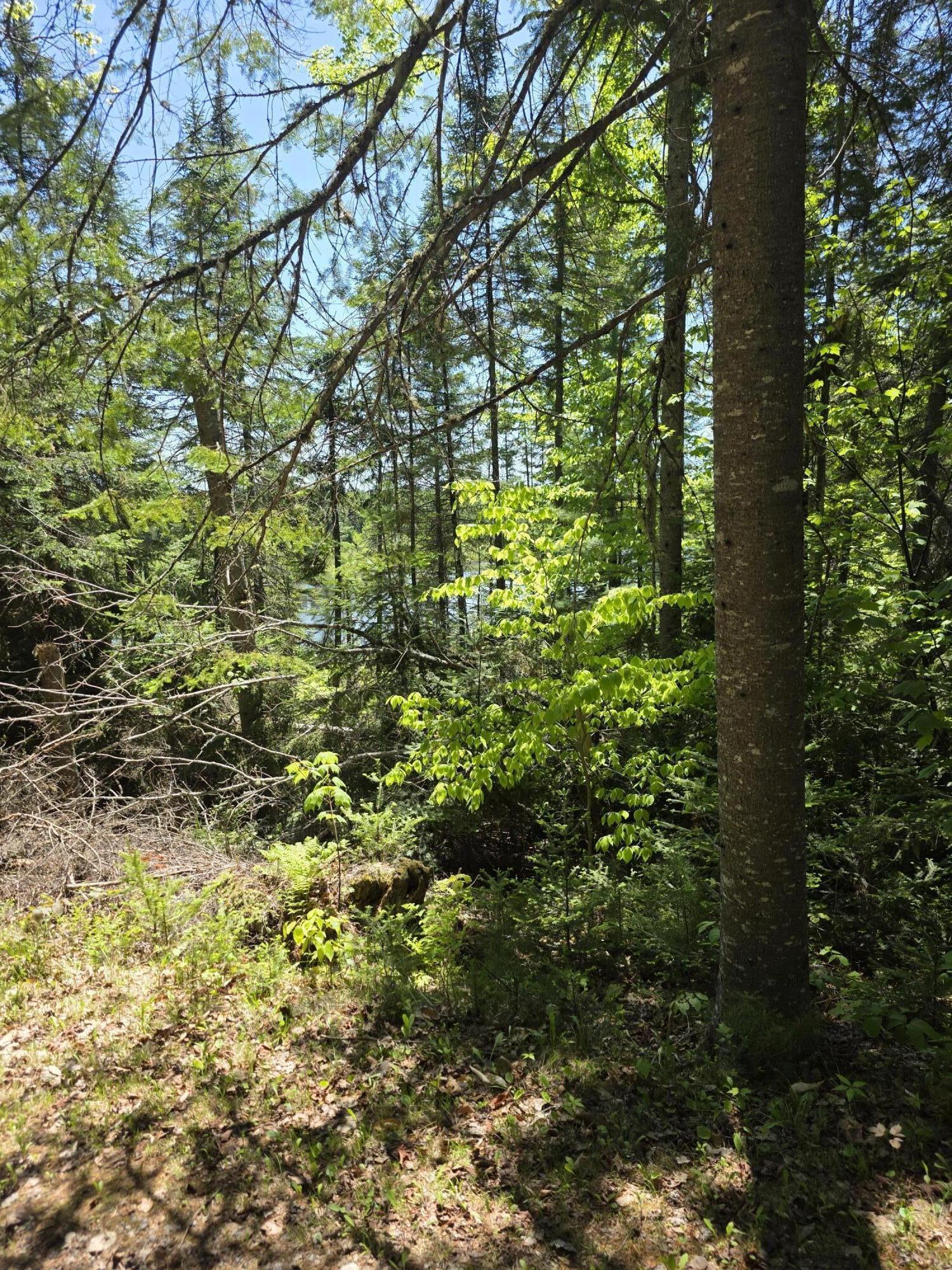 P 8 L 4 Prescott Pond Rd., Moxie Gore, ME 04985 13888