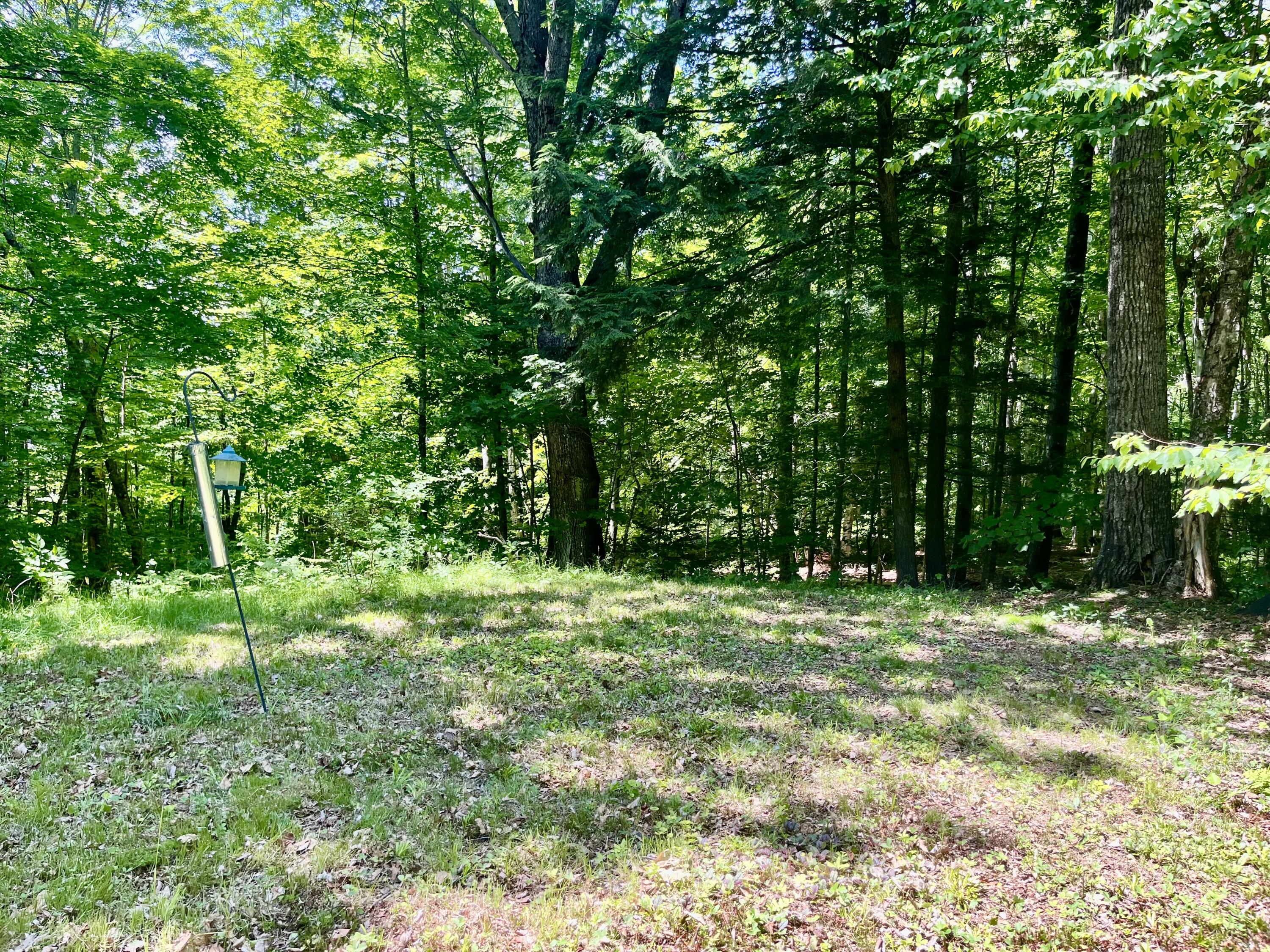 side yard