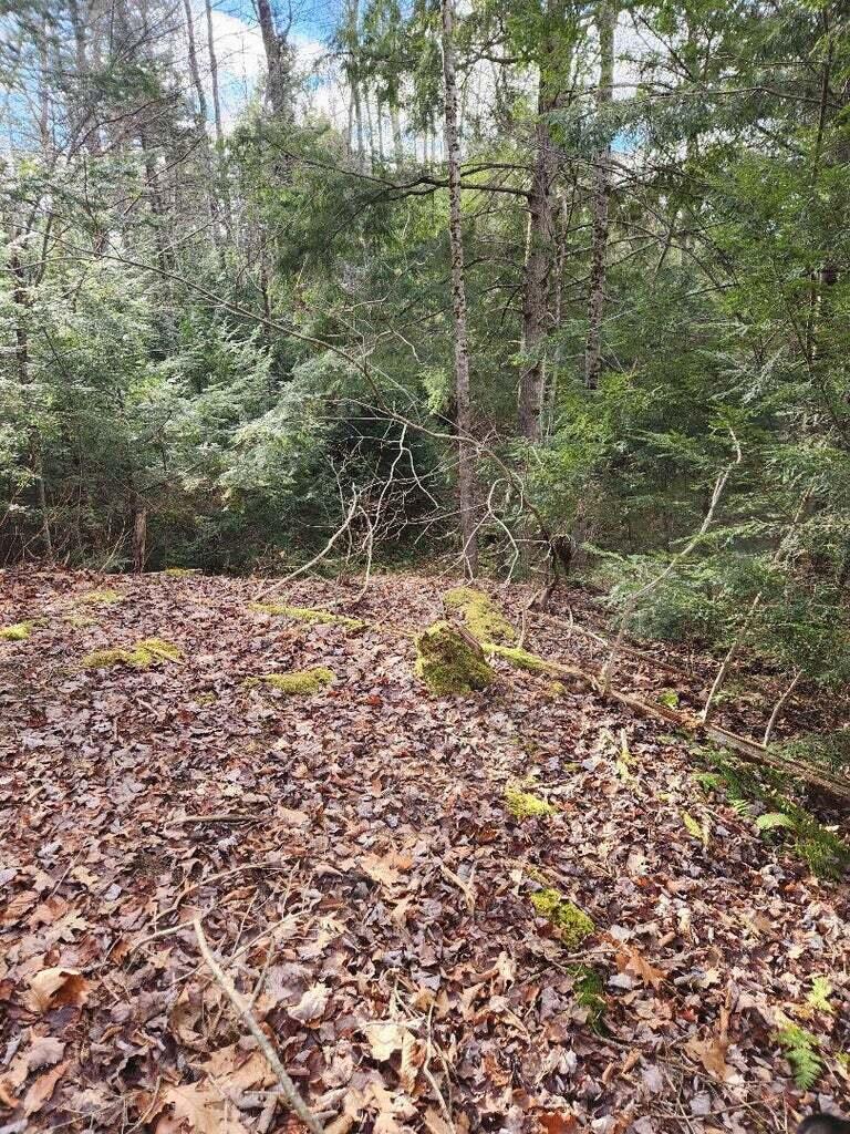 86 Oak Hill Road, Belfast, ME, 04915