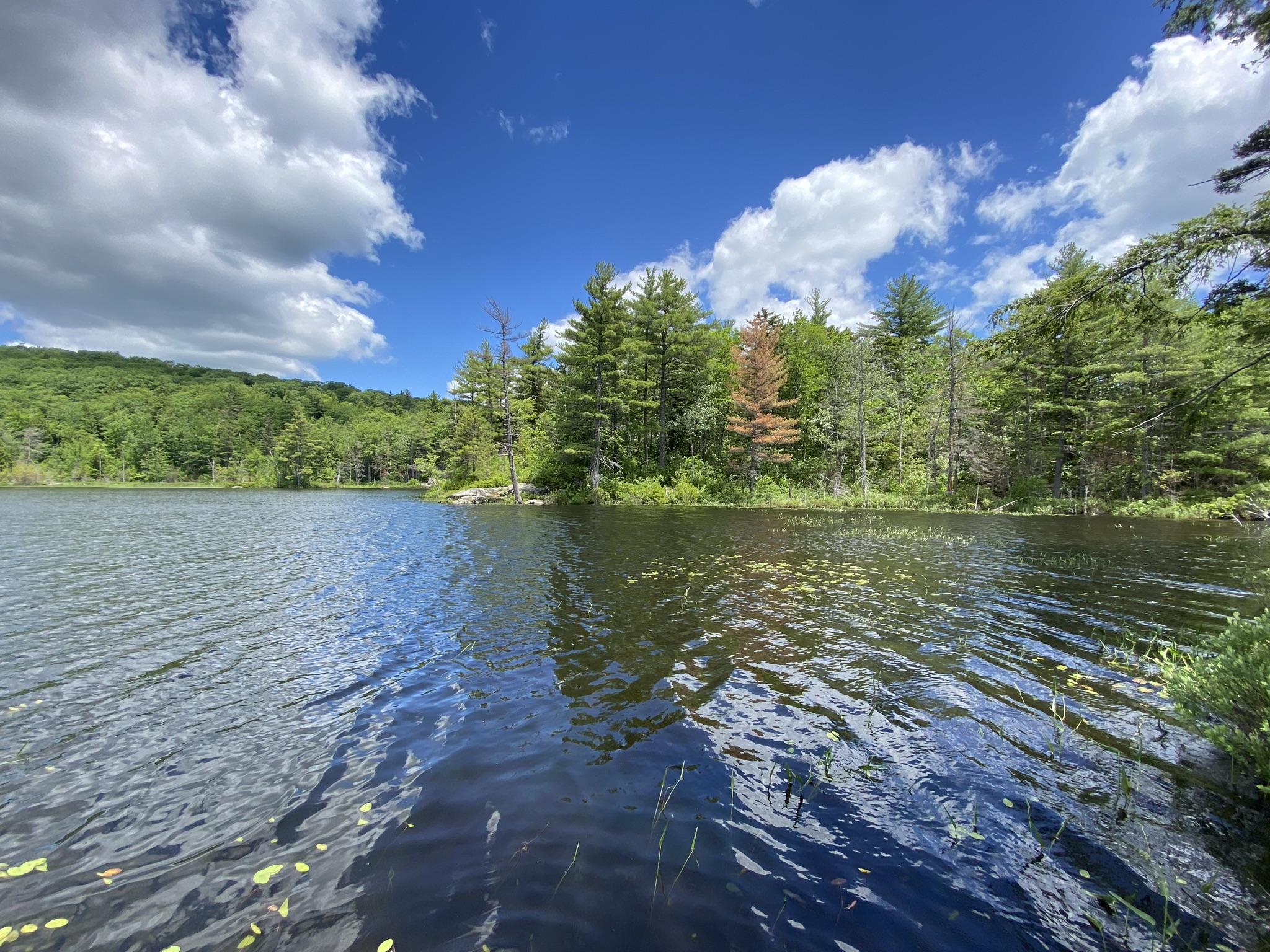346 Bradeen Road, Sumner, ME, 04292