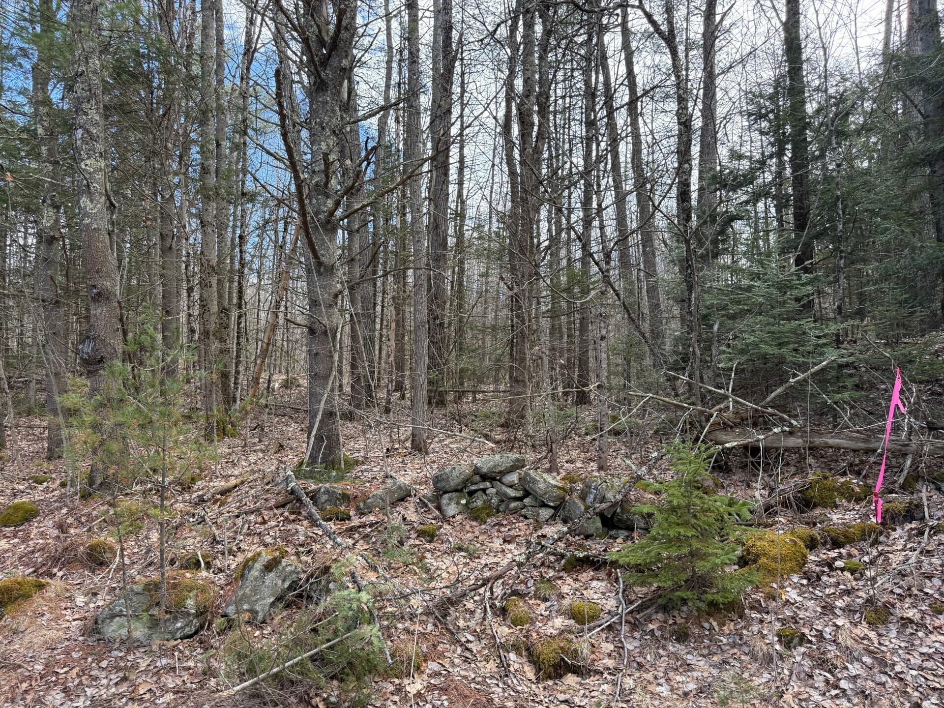 864 Winslows Mills Road, Waldoboro, ME, 04572