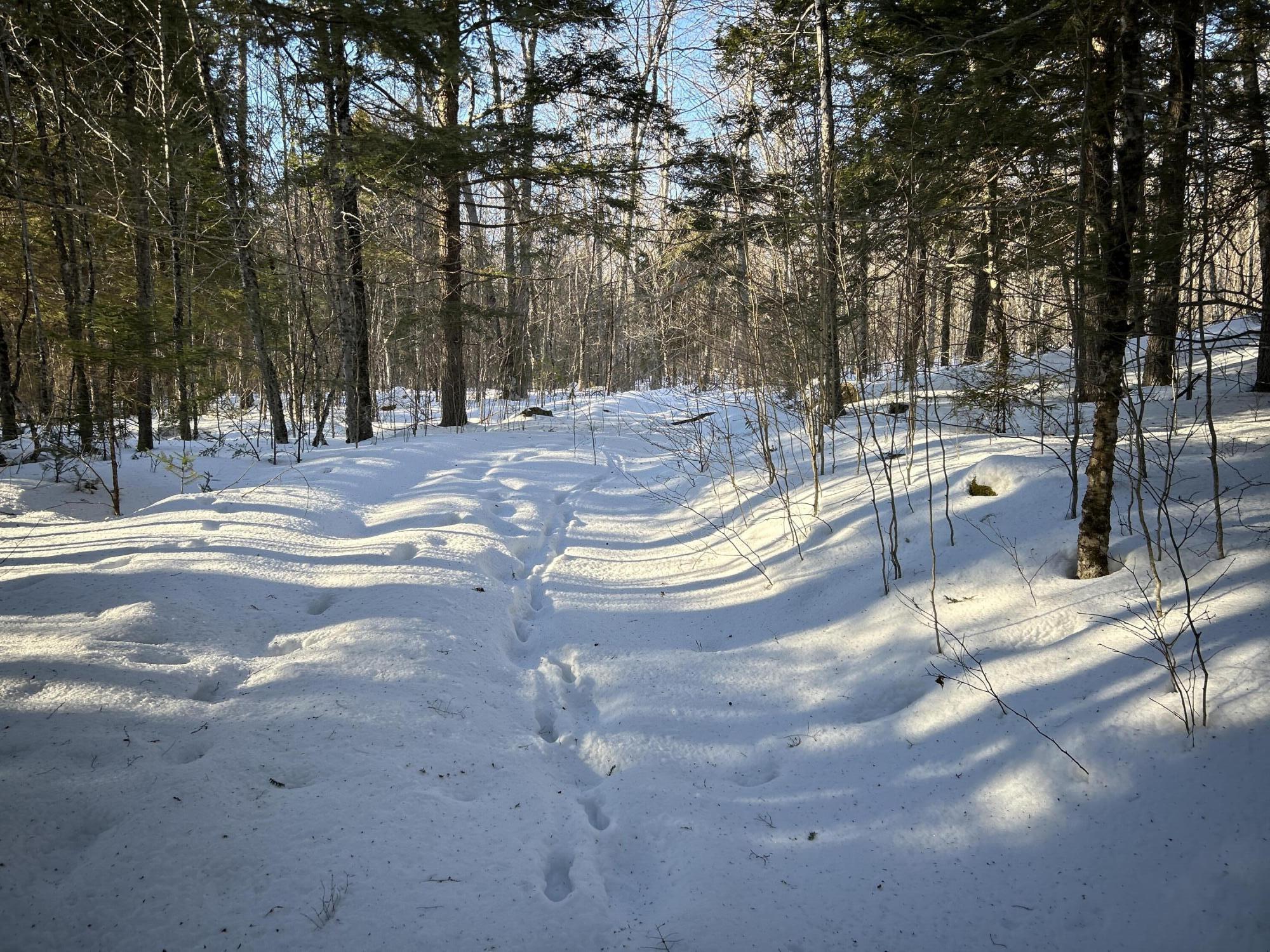 M7L22 Nelson Ridge Road N, Washington, ME, 04574