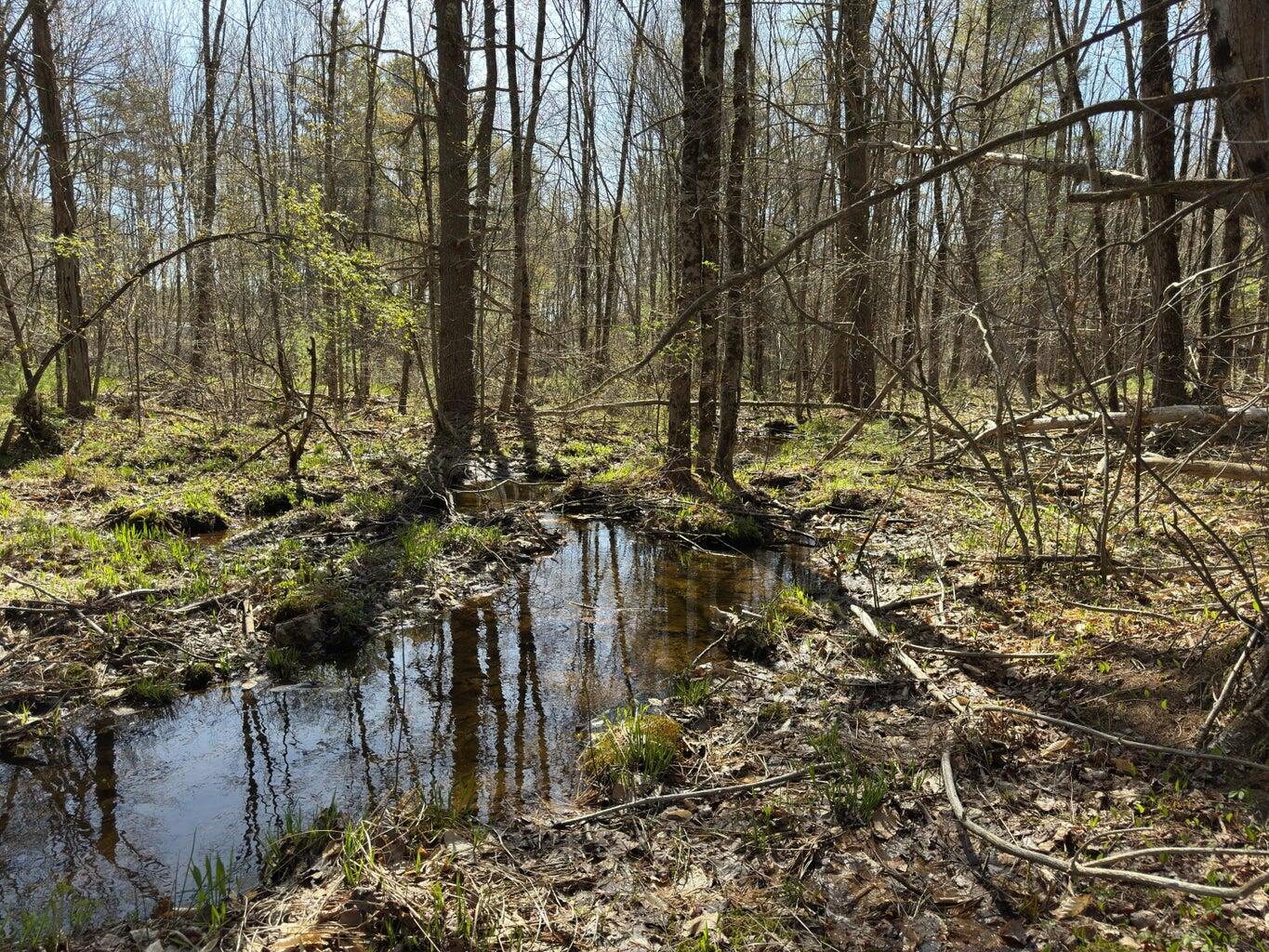 0 Scarlet Way, Lebanon, ME, 04027