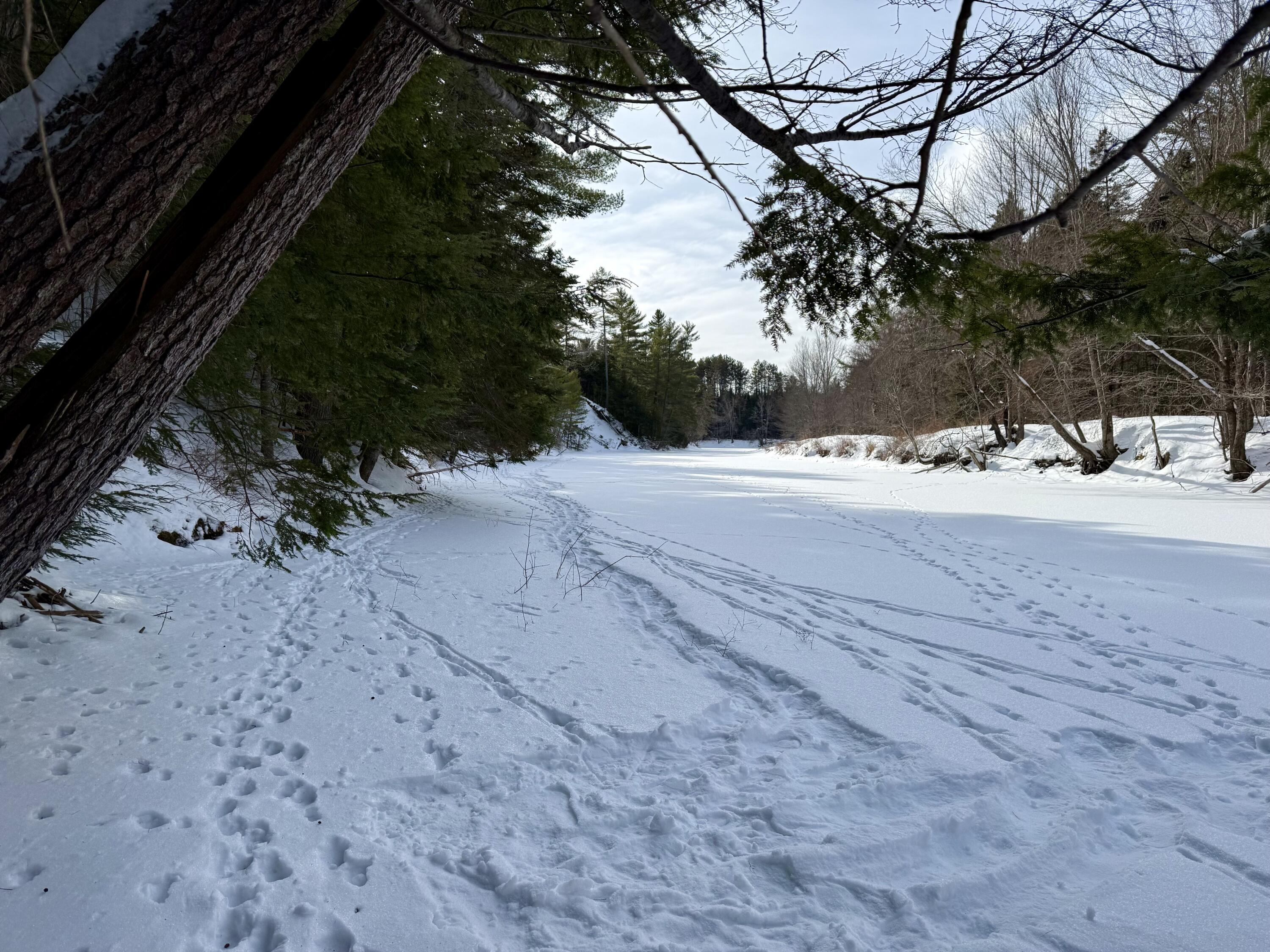 Lot 34 Meadow Wood Drive, Brownville, ME, 04414