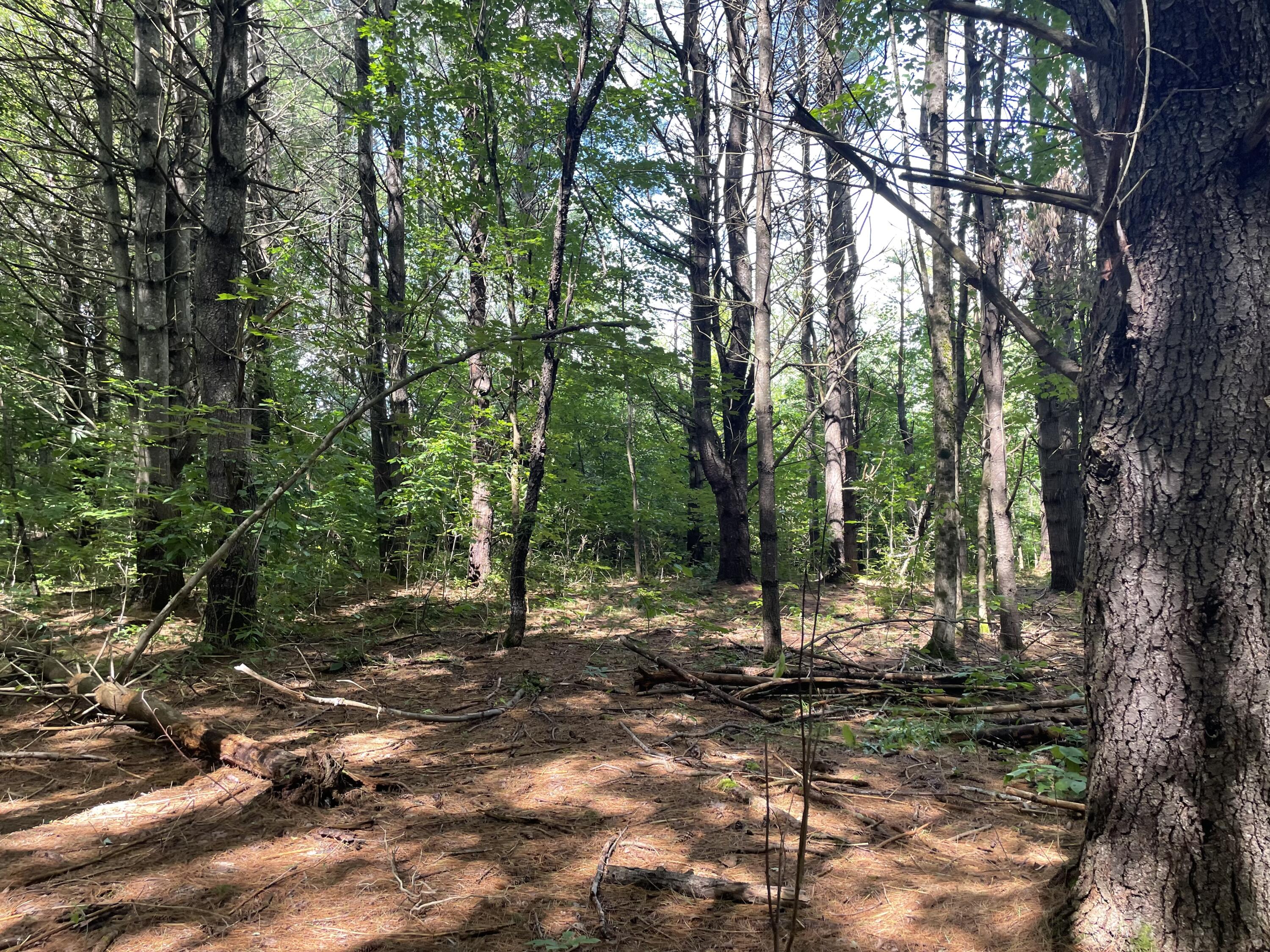 0 Cross Street, Manchester, ME, 04351