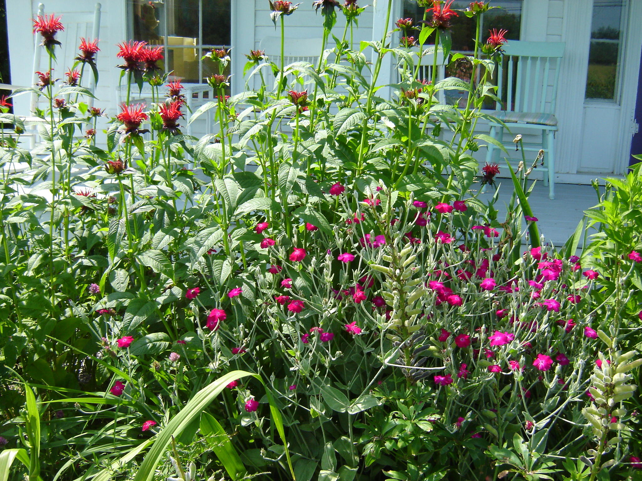 288 Mayberry Hill Road, Casco, ME, 04015