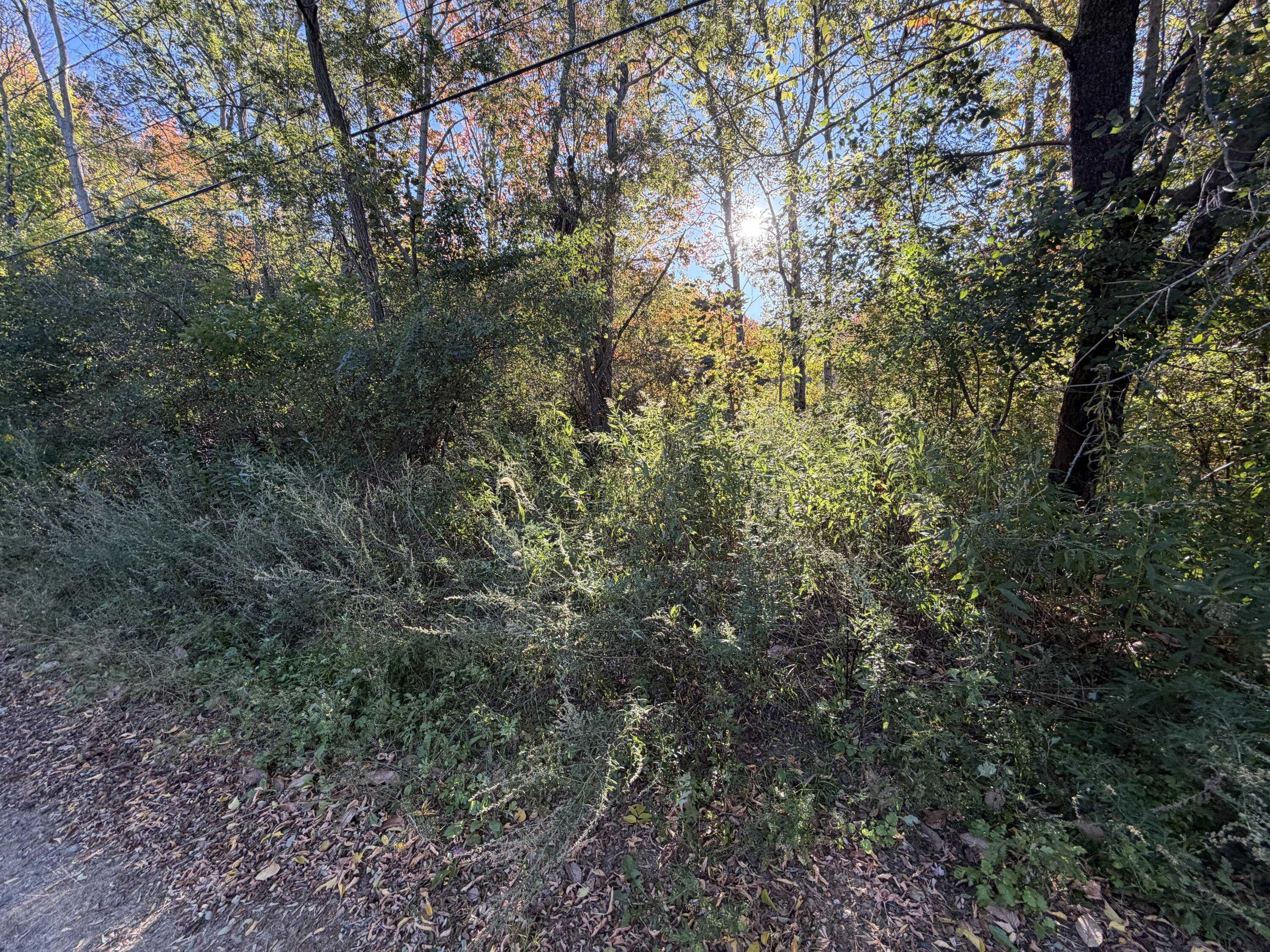 73 Gertrude Avenue, Portland, ME 04103 Land view