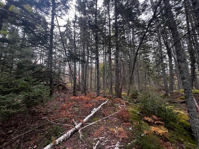 12-1 S Burnt Cove Road, Stonington, ME, 04681