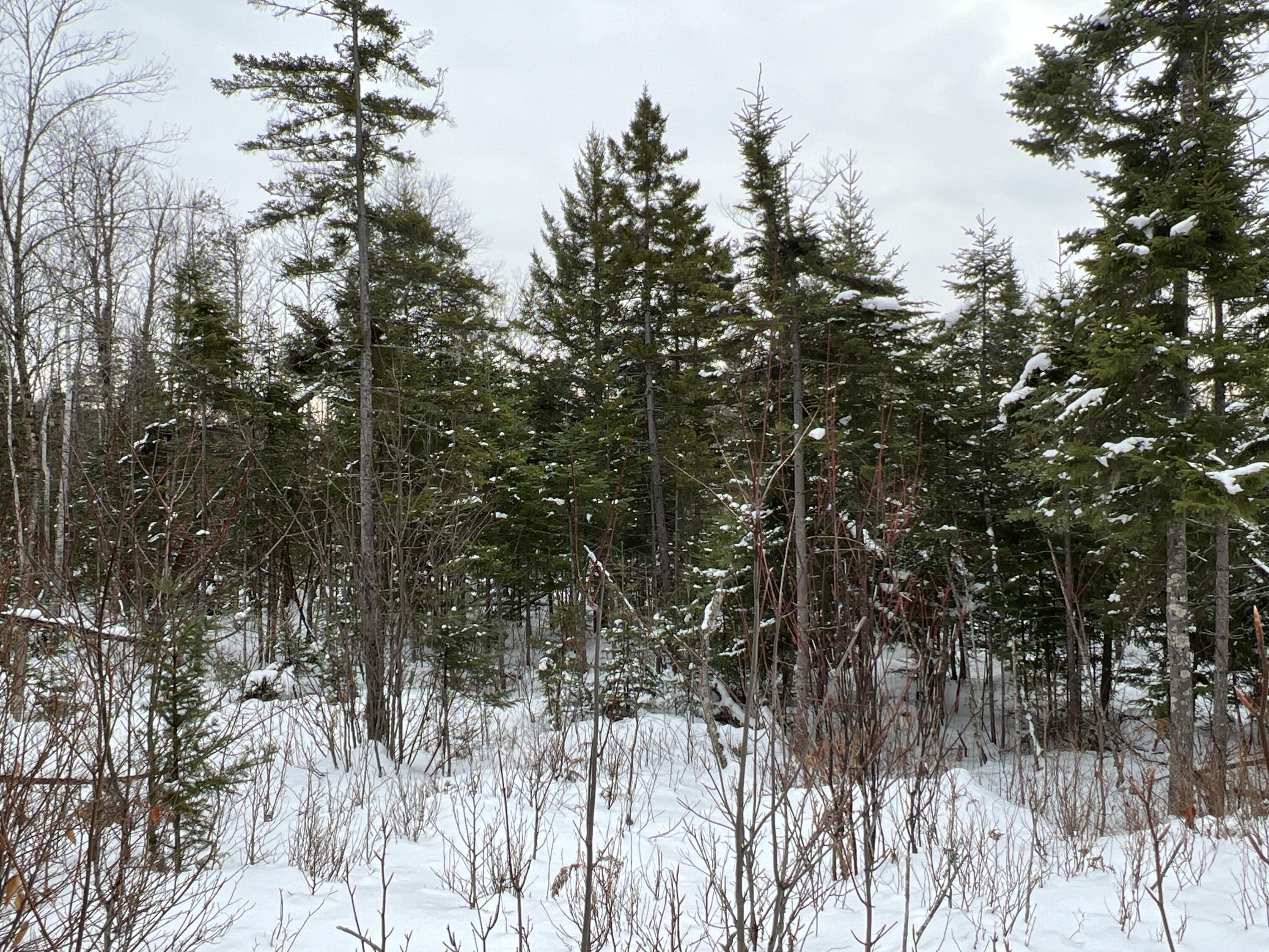 Lot 2-18 Shin Pond Road, Mount Chase, ME, 04765