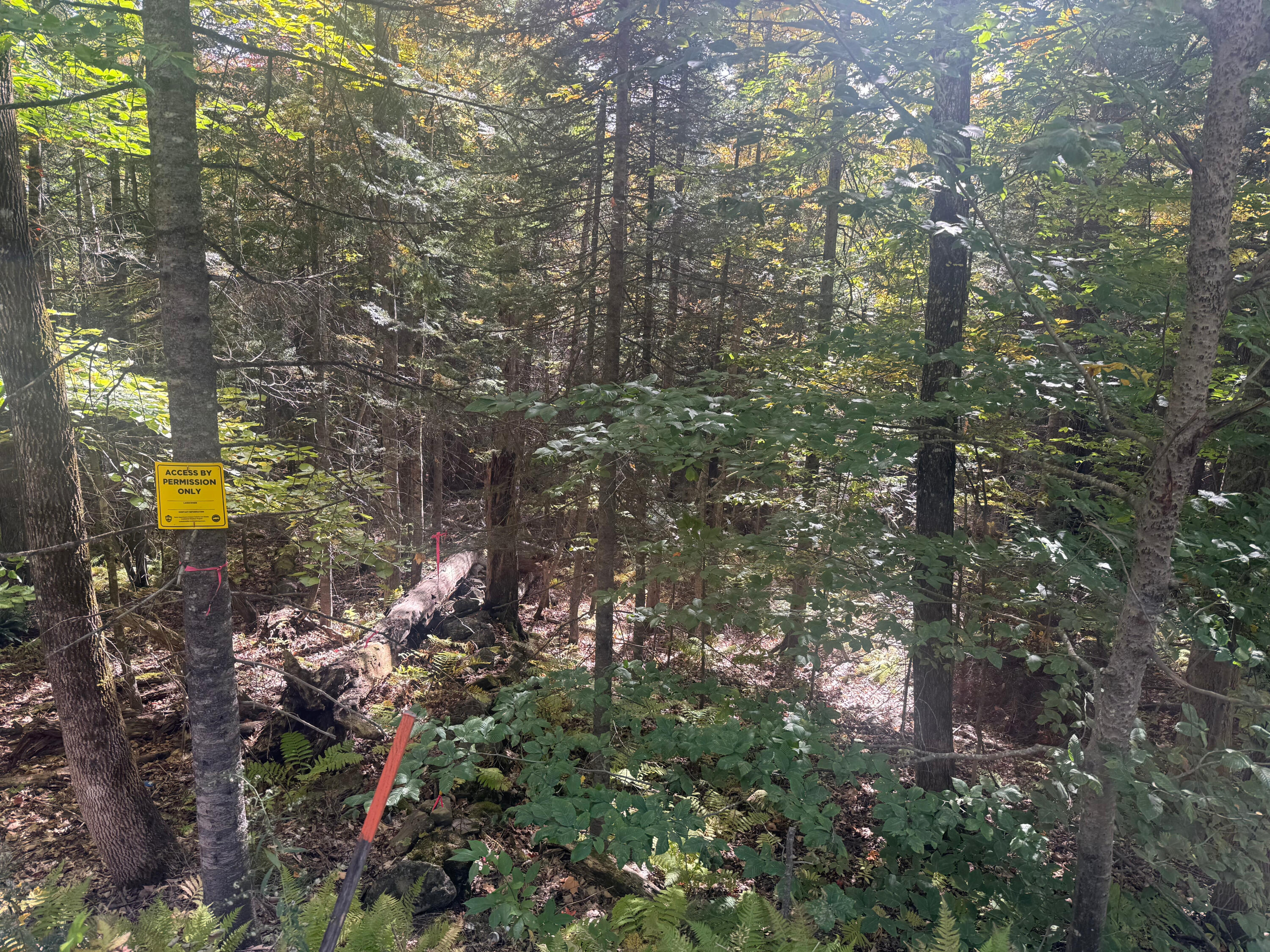 Photo of TBD Middle Road New Portland ME 04961