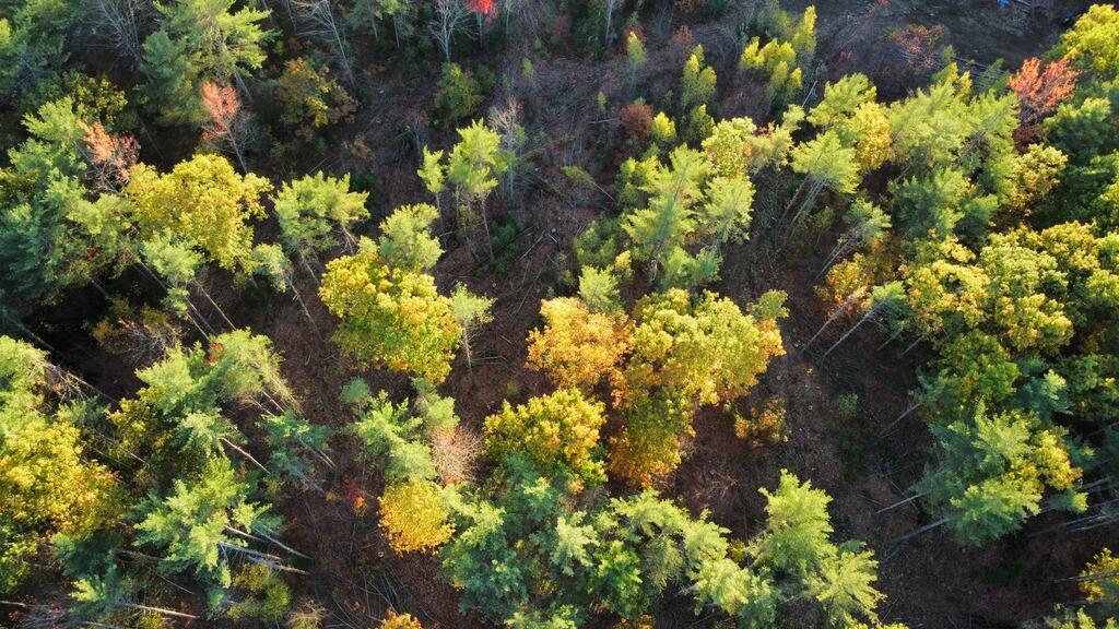 Lot 16 (1) Whittier Road, Farmington, ME, 04938