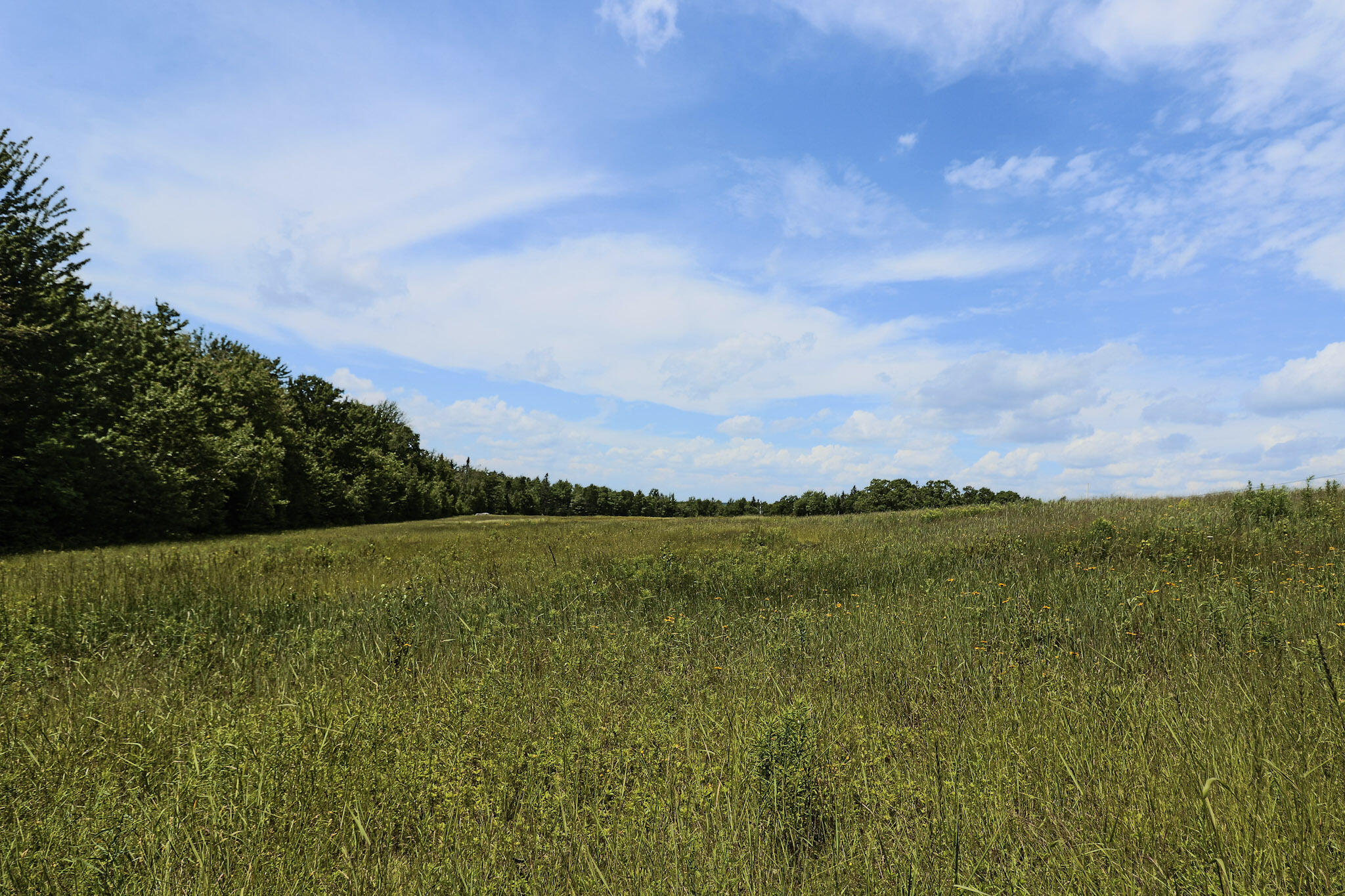 MAP13LOT9 Martins Ridge Road, Franklin, ME, 04634