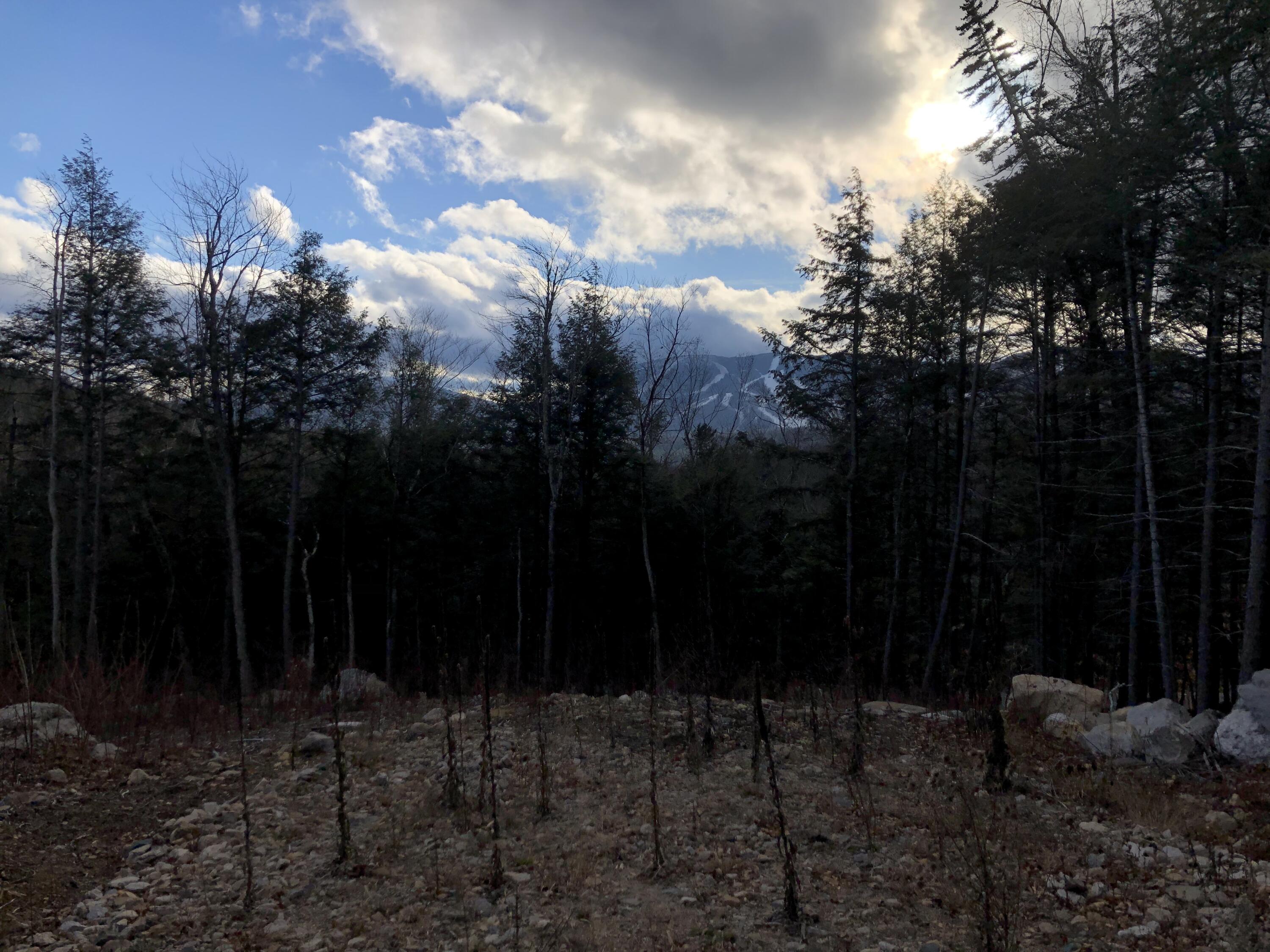 Lot 67 Snowbird Lane, Newry, ME, 04261