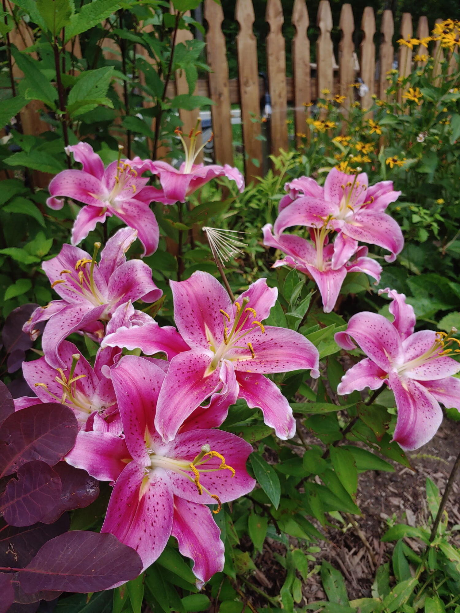 48 Pennell Avenue, Portland, ME, 04103