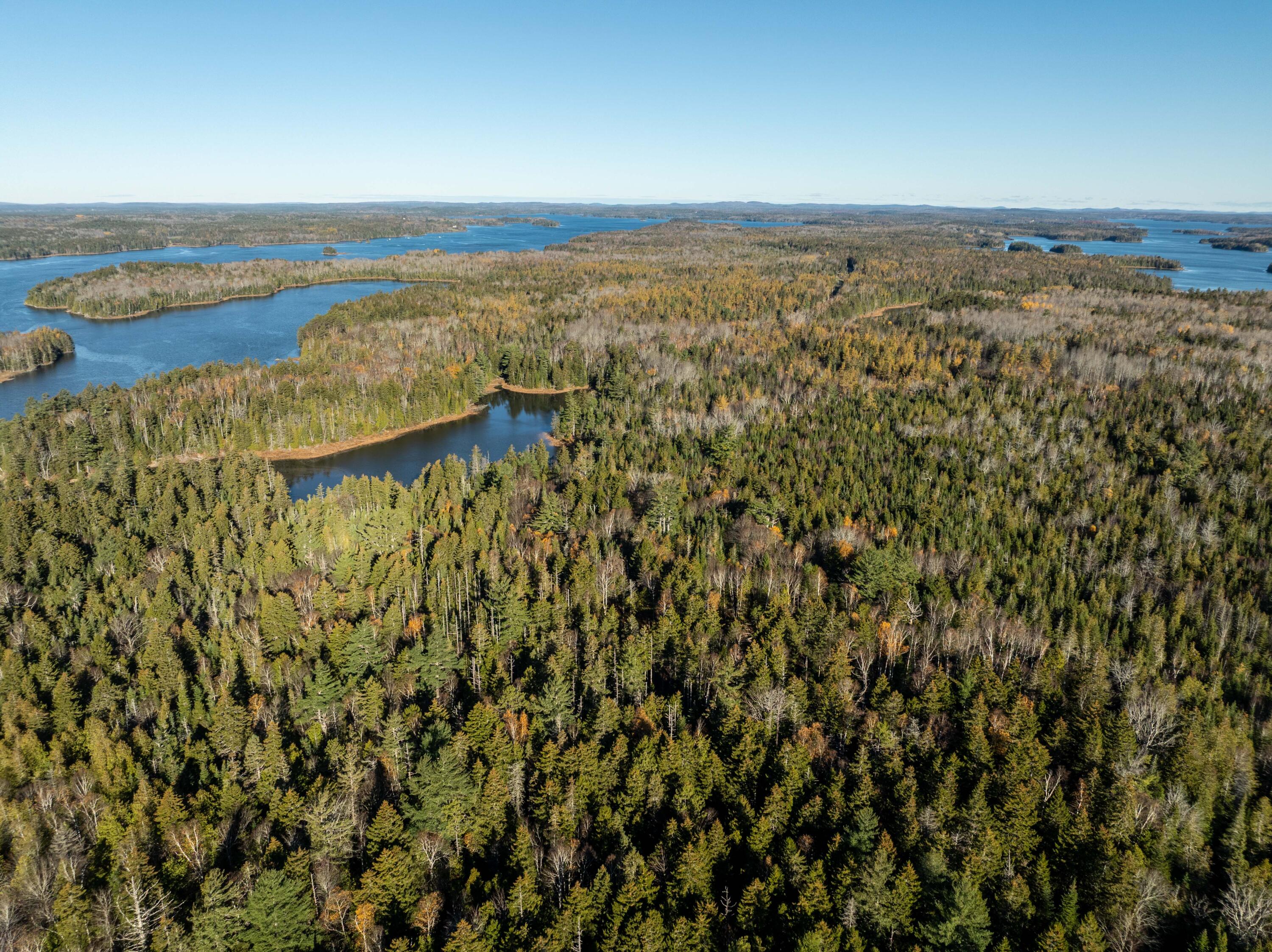 01-4 WA035, Trescott Twp, ME, 04652