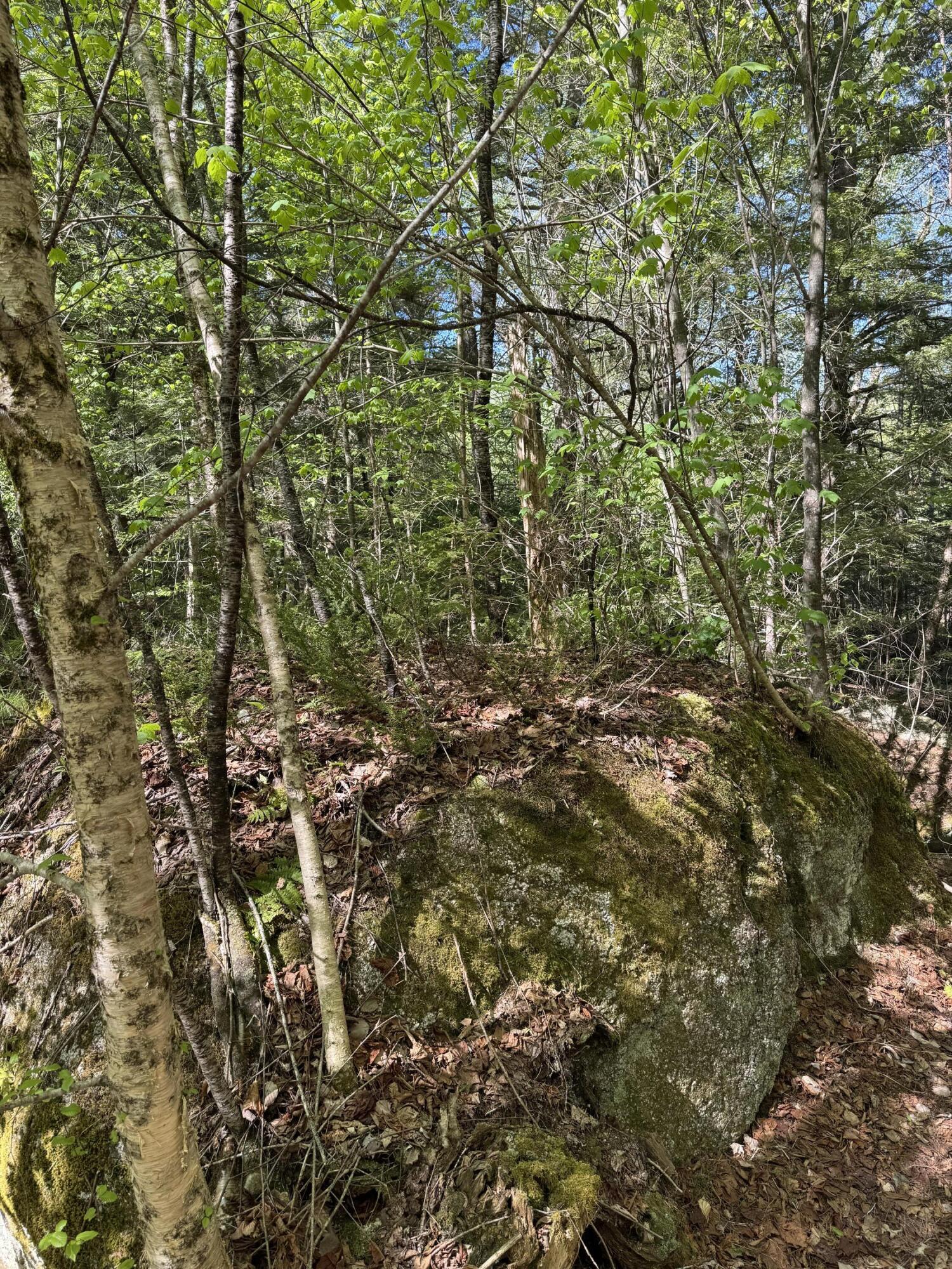 property-listing-images