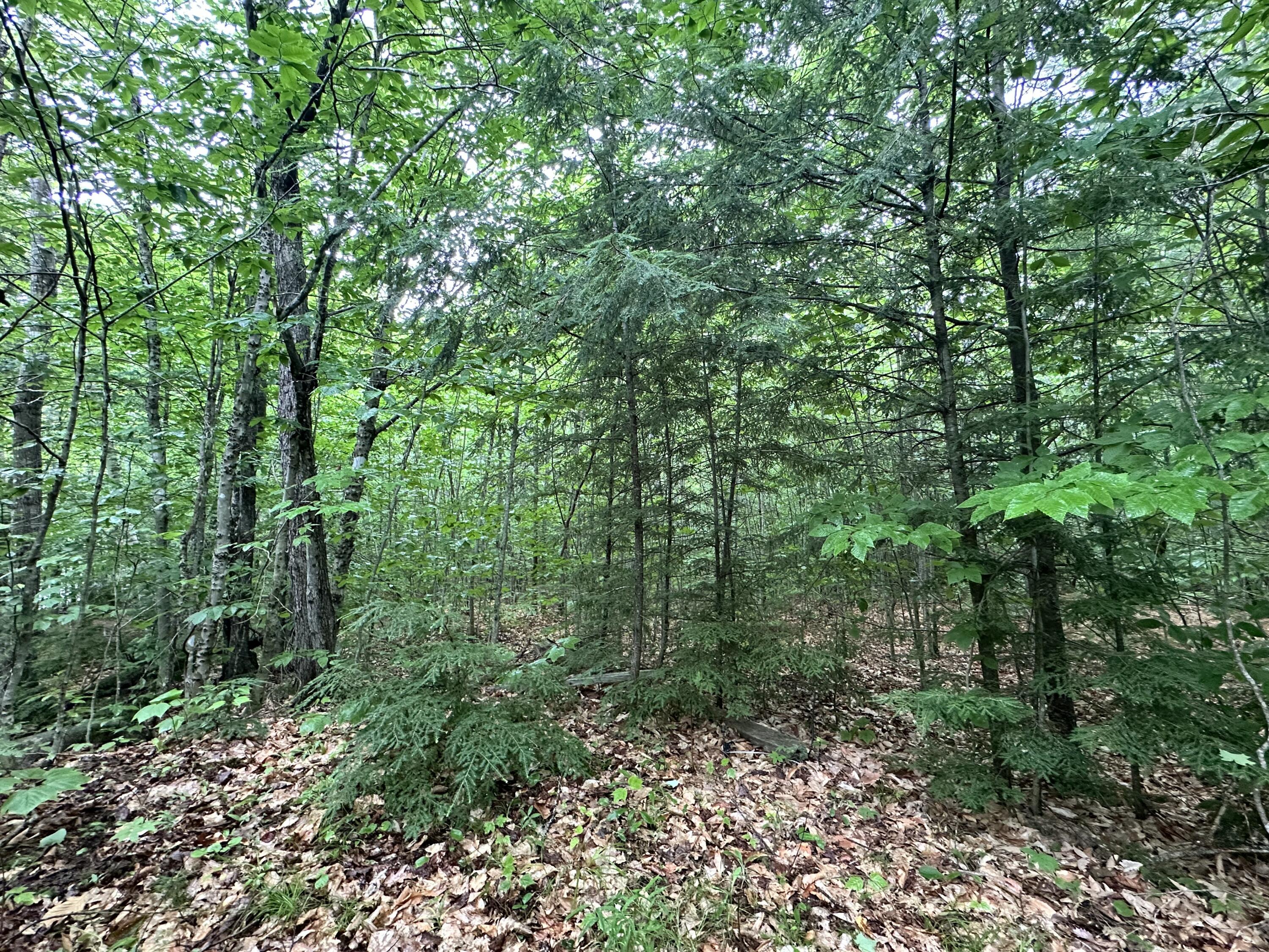 1-20 Claybrook Road, Kingfield, ME, 04947