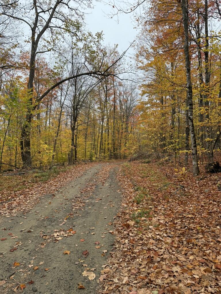 Lot 005 Greenwood Brook Road, Industry, ME, 04938