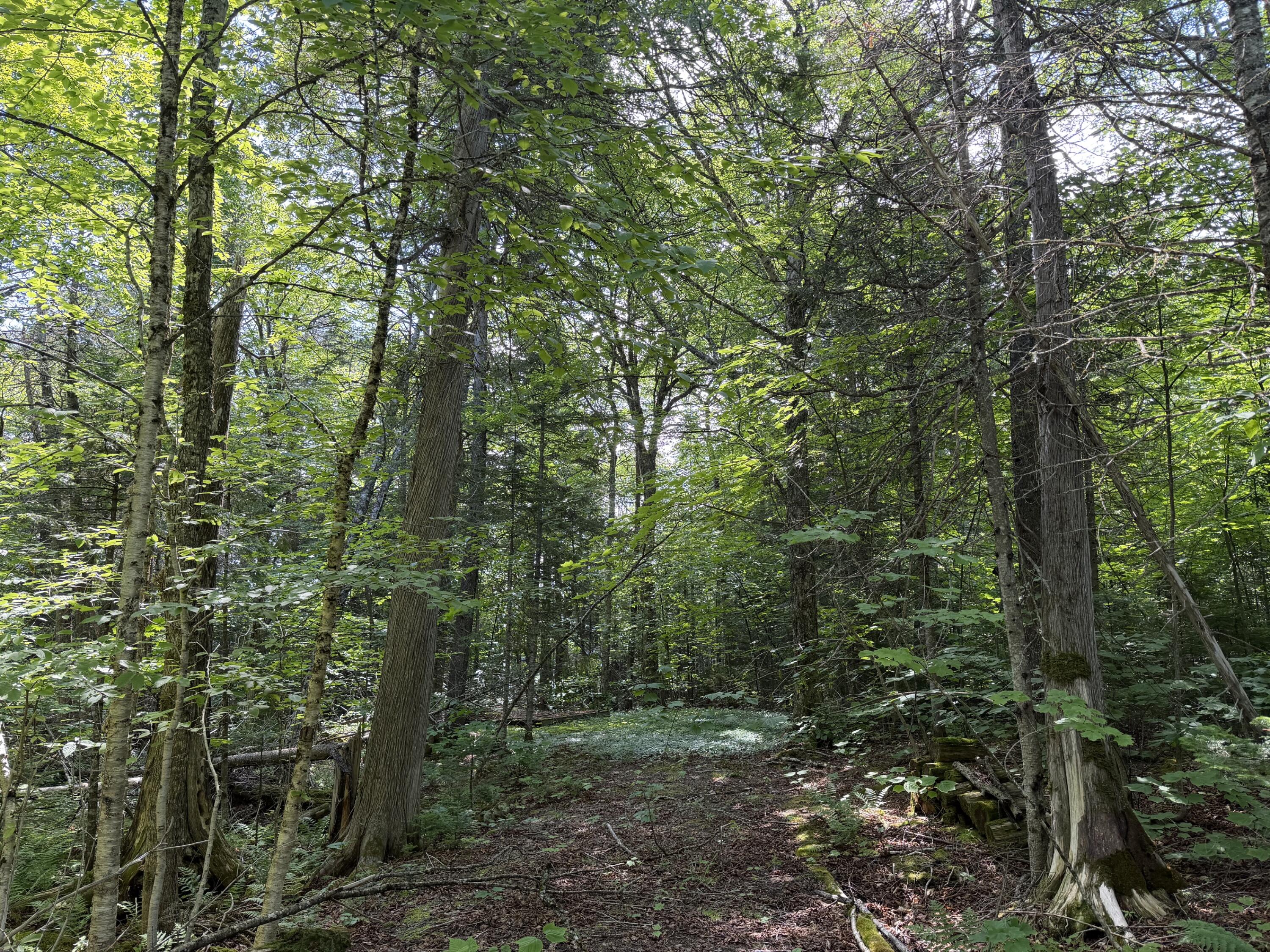 Map 40 Lot 5 Wilson Pond Road, Greenville, ME 04441 Lower Wilson Pond 7