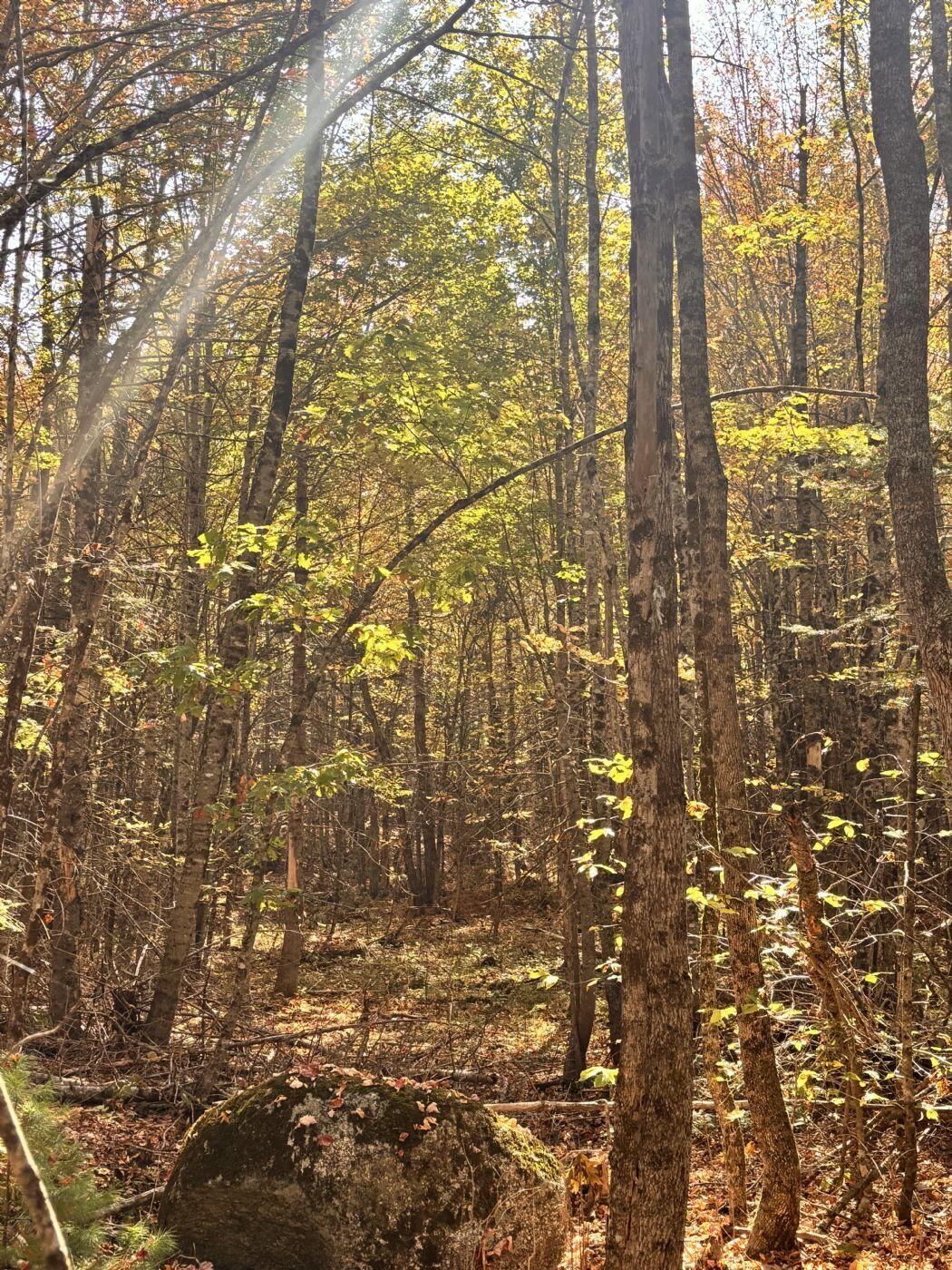 150 Bowden Point Road, Prospect, ME, 04981