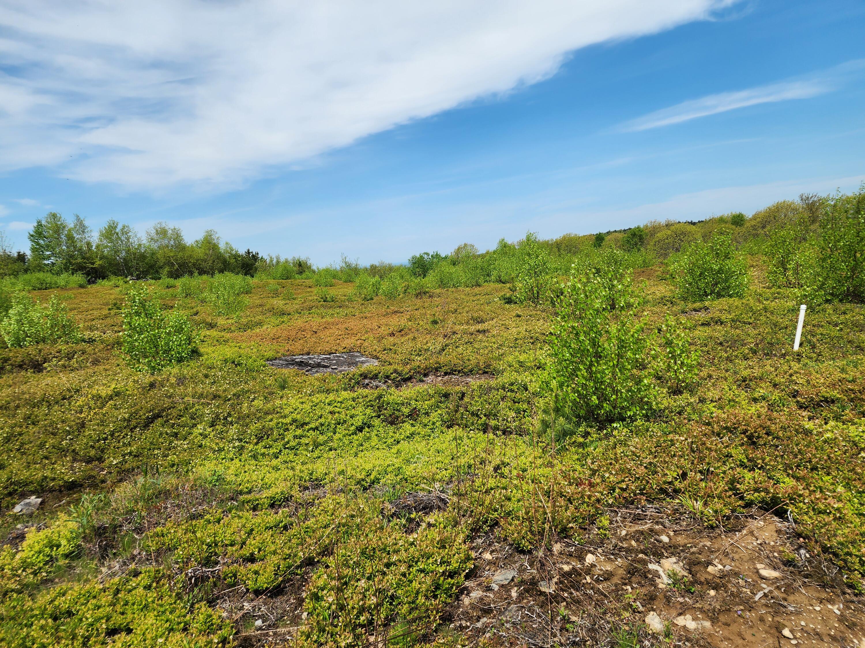 3 Whispering Berries Hill, Liberty, ME, 04949