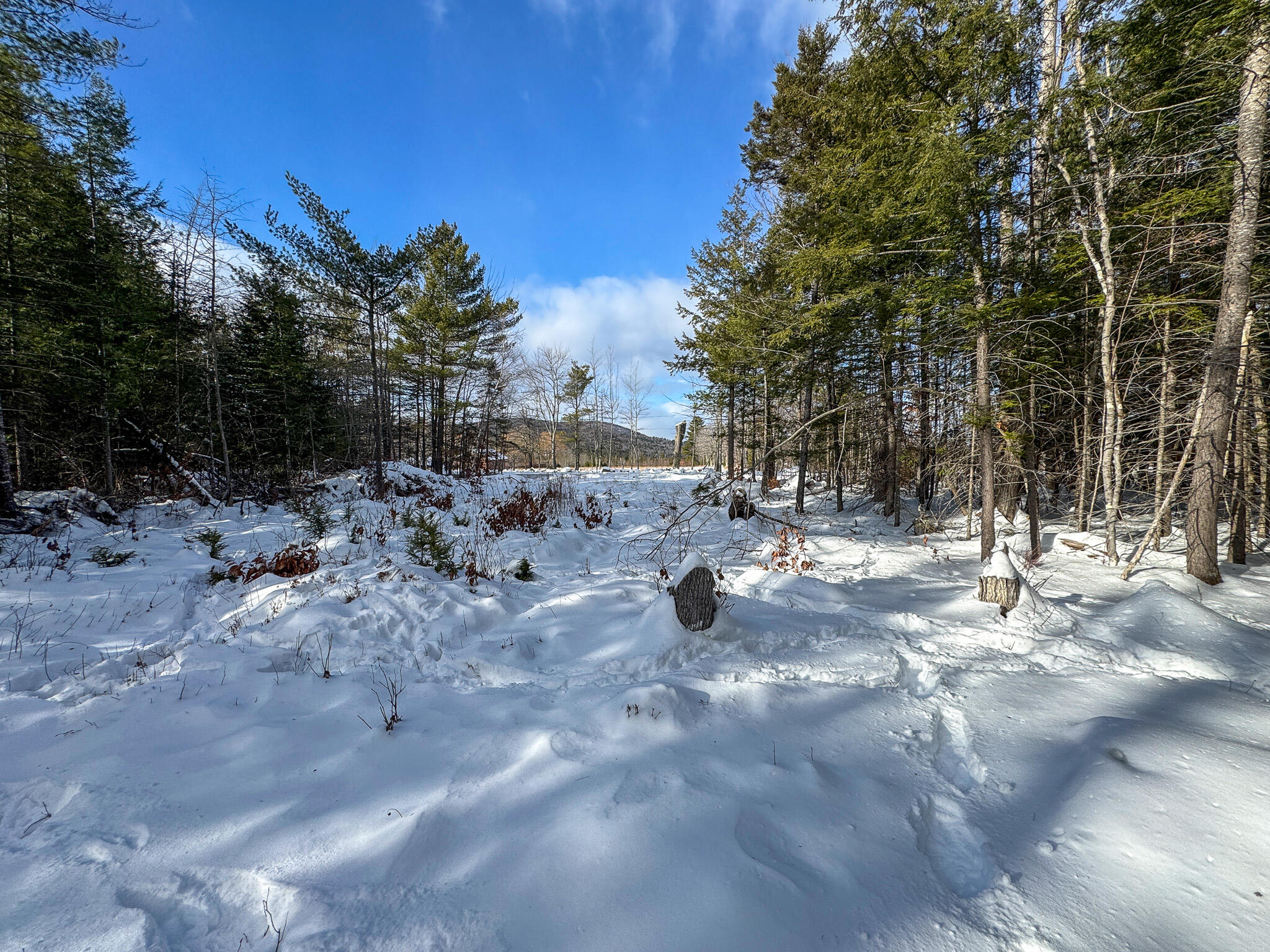 100 Sam Brown Hill Road, Brownfield, ME, 04010