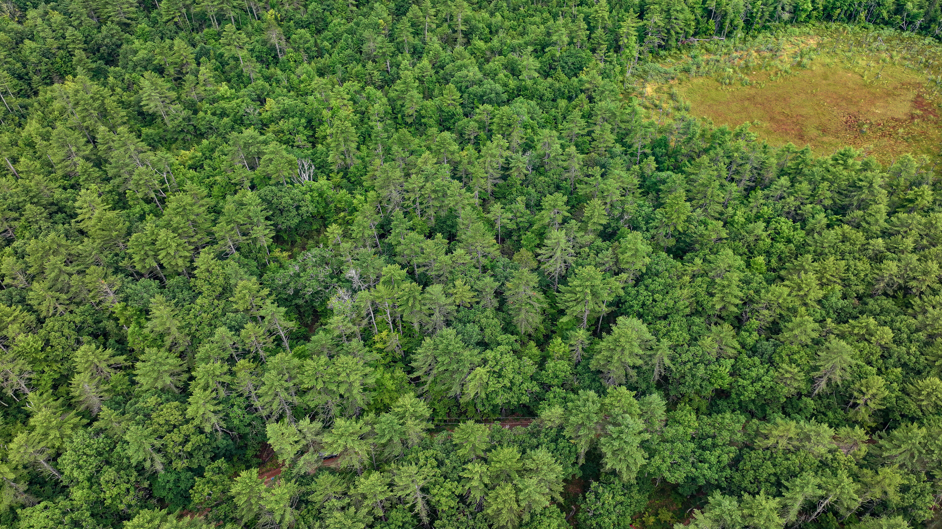 62-B Long Pond Drive, Denmark, ME, 04022