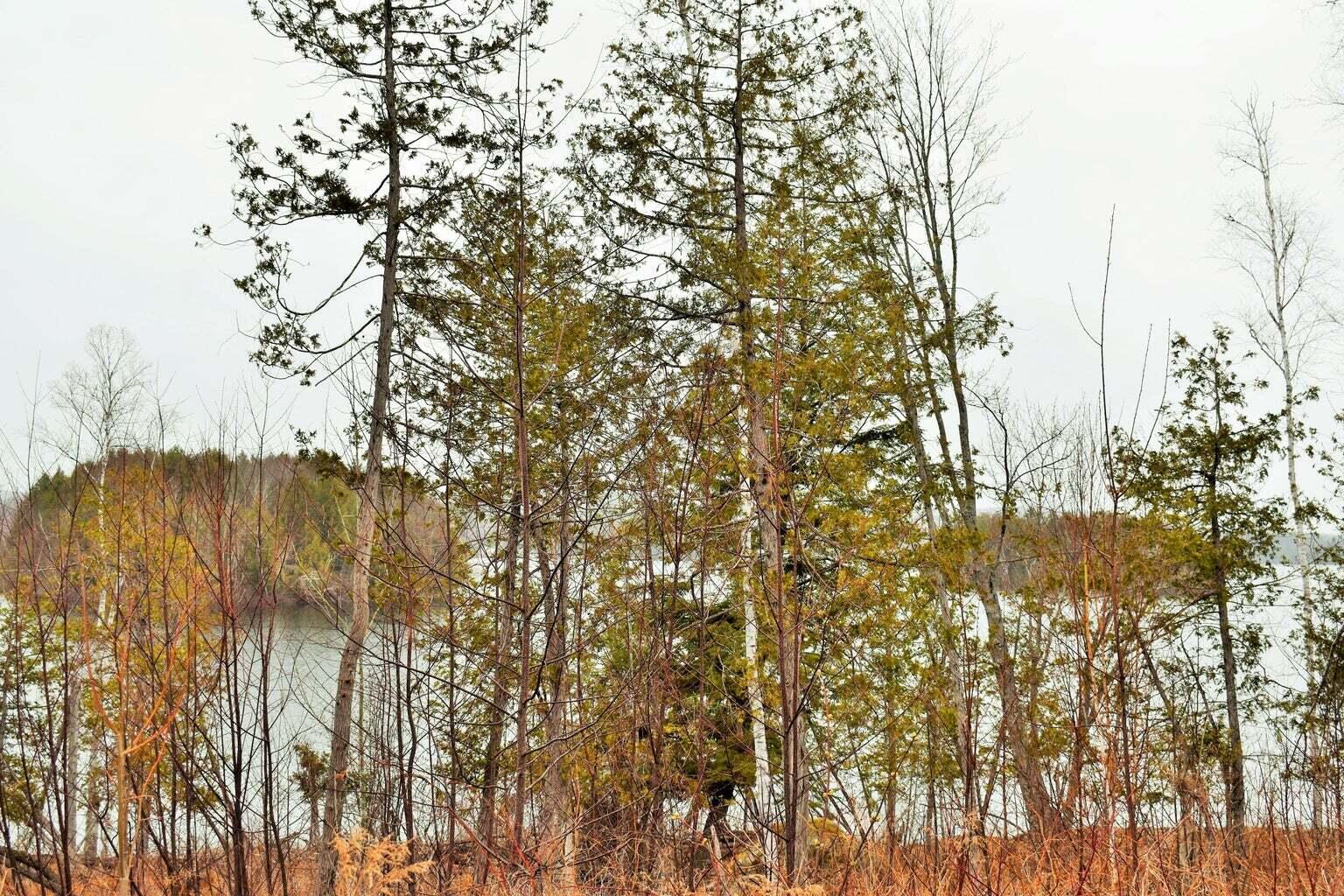 PO72,P090 Cotta Lane & RT 43, Saint Albans, ME, 04971