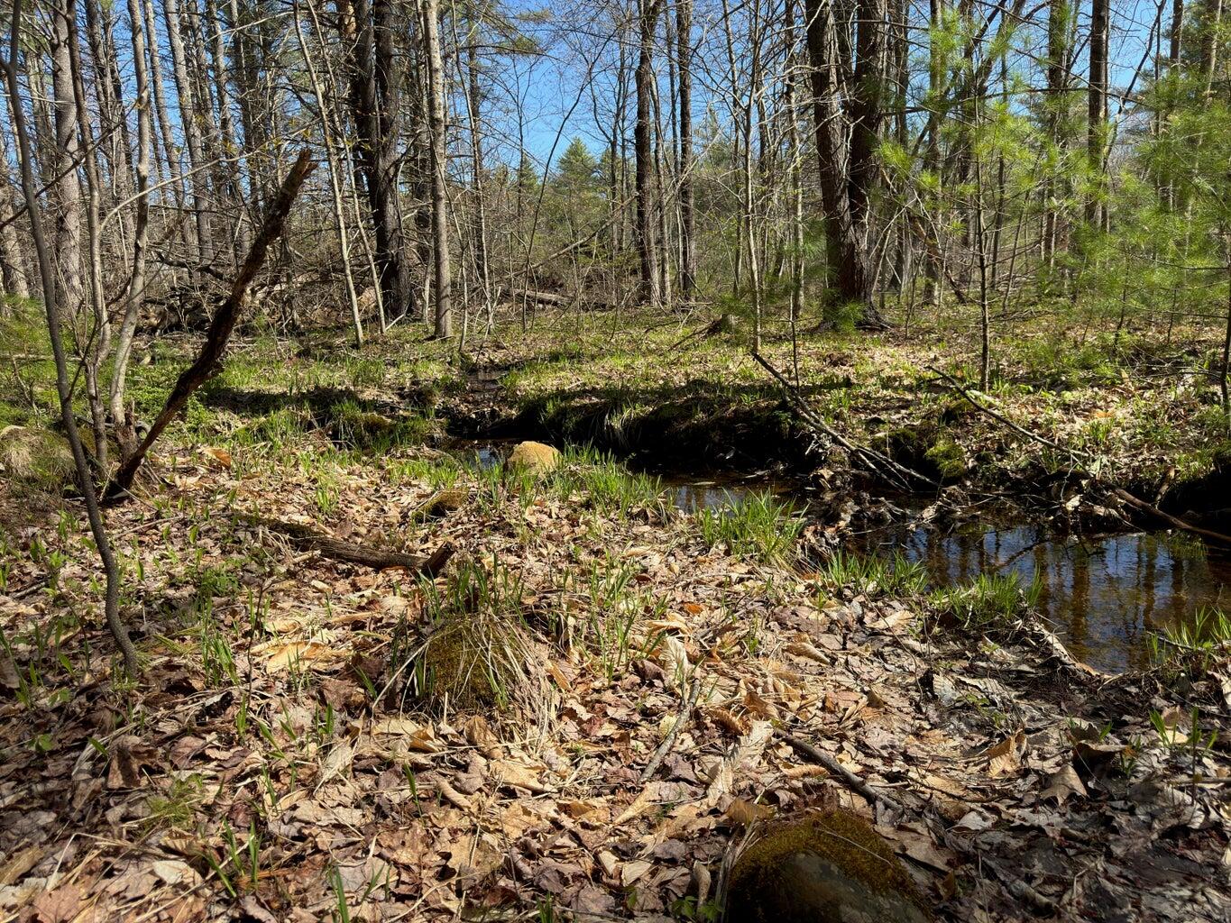 0 Scarlet Way, Lebanon, ME, 04027